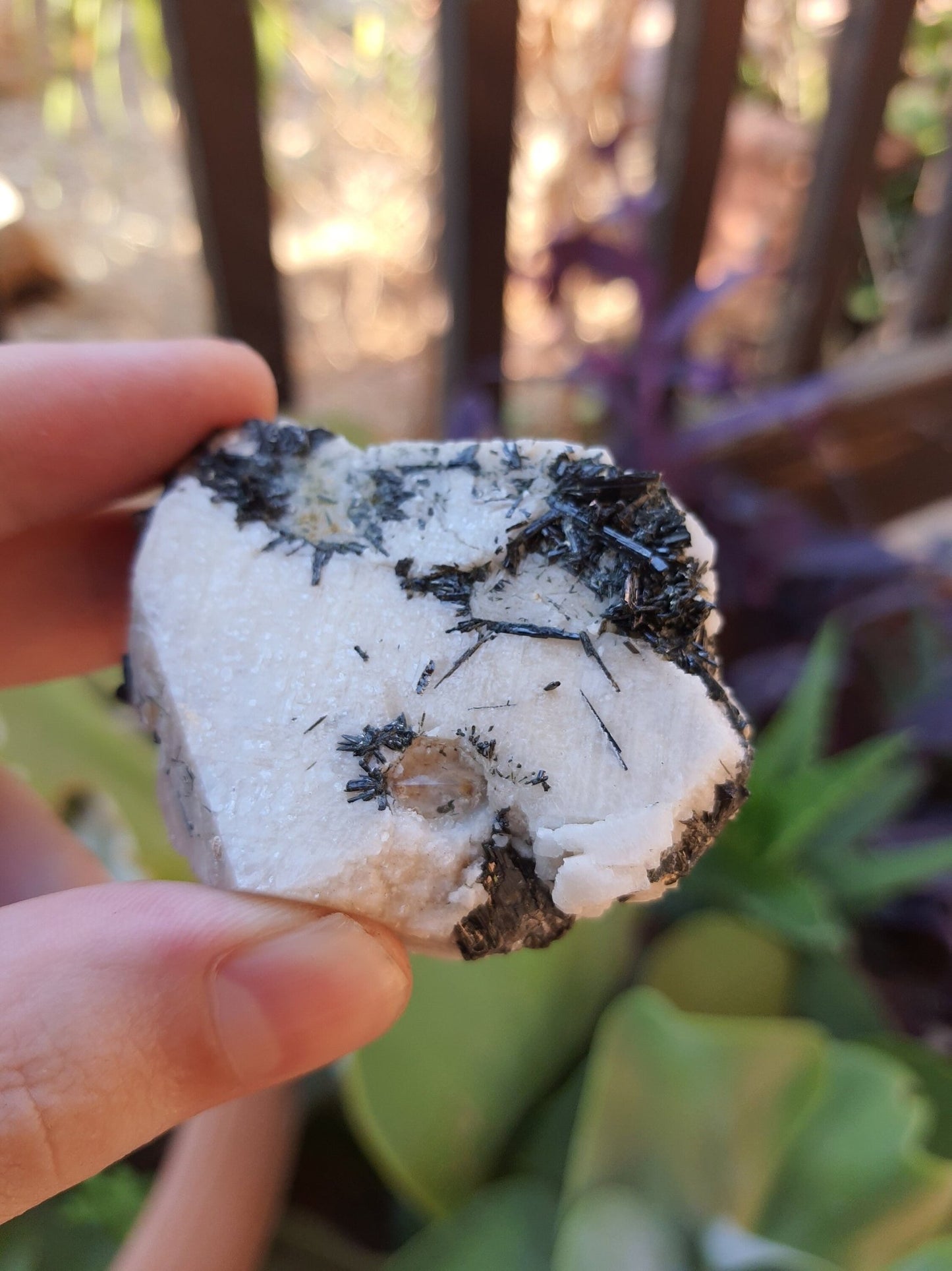 Aegirine & Orthoclase Specimen: Raw Crystal Blade from Malawi (61g) - LunarGem -