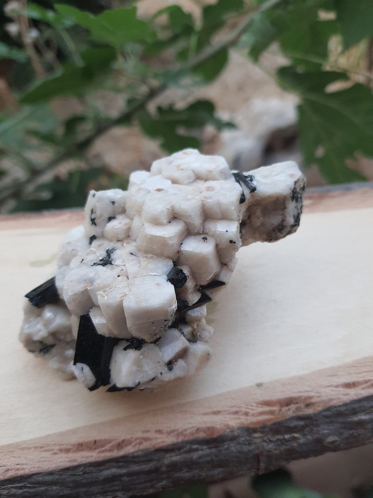 Aegirine with Orthoclase Specimen, Raw Crystal Blade (172g) - LunarGem -