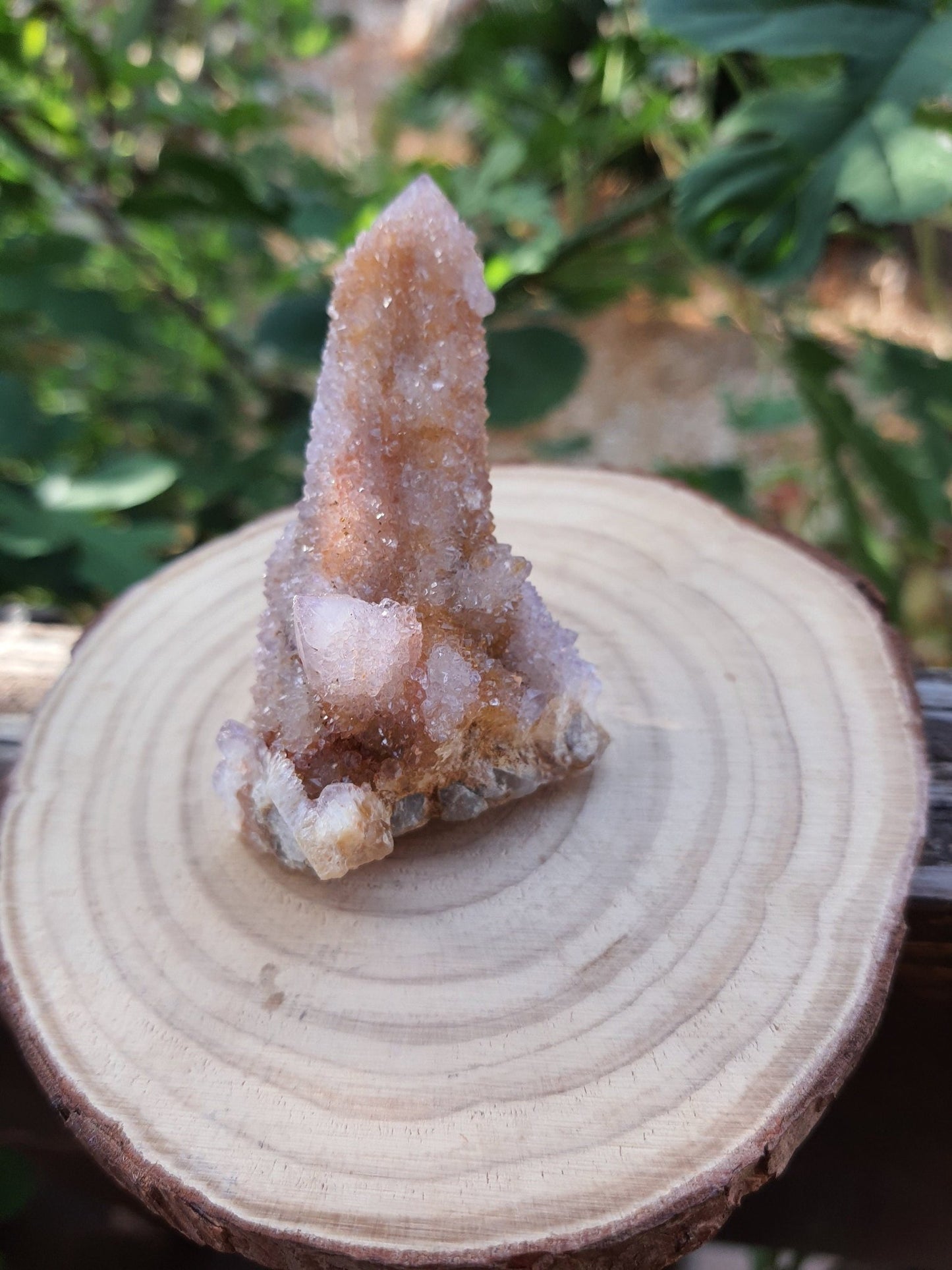 Amethyst Spirit Quartz Cluster: Cactus Quartz Ring Holder, 65g - LunarGem -