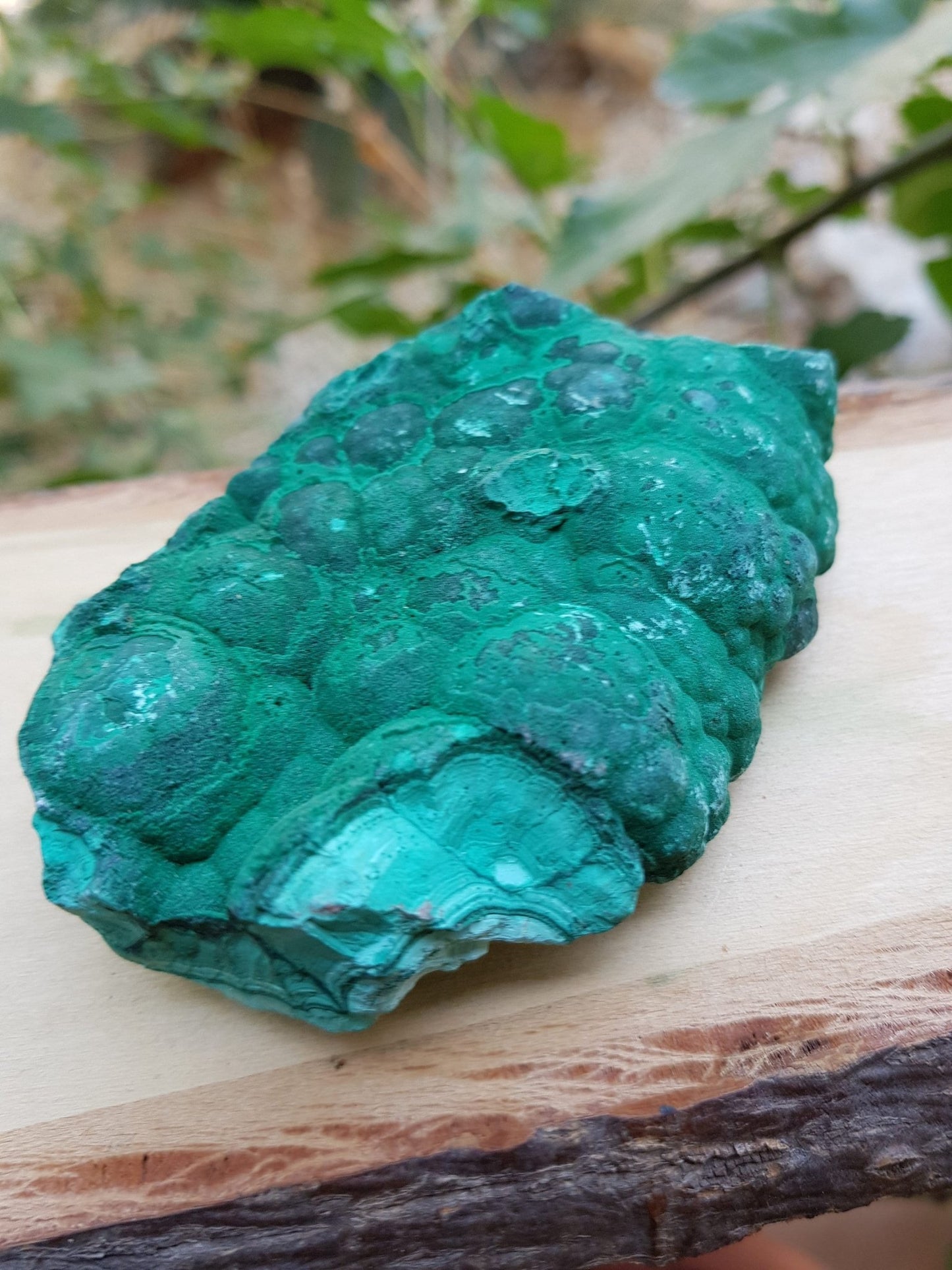 Botryoidal Malachite Specimen: 230g Raw Congo Mineral - LunarGem -