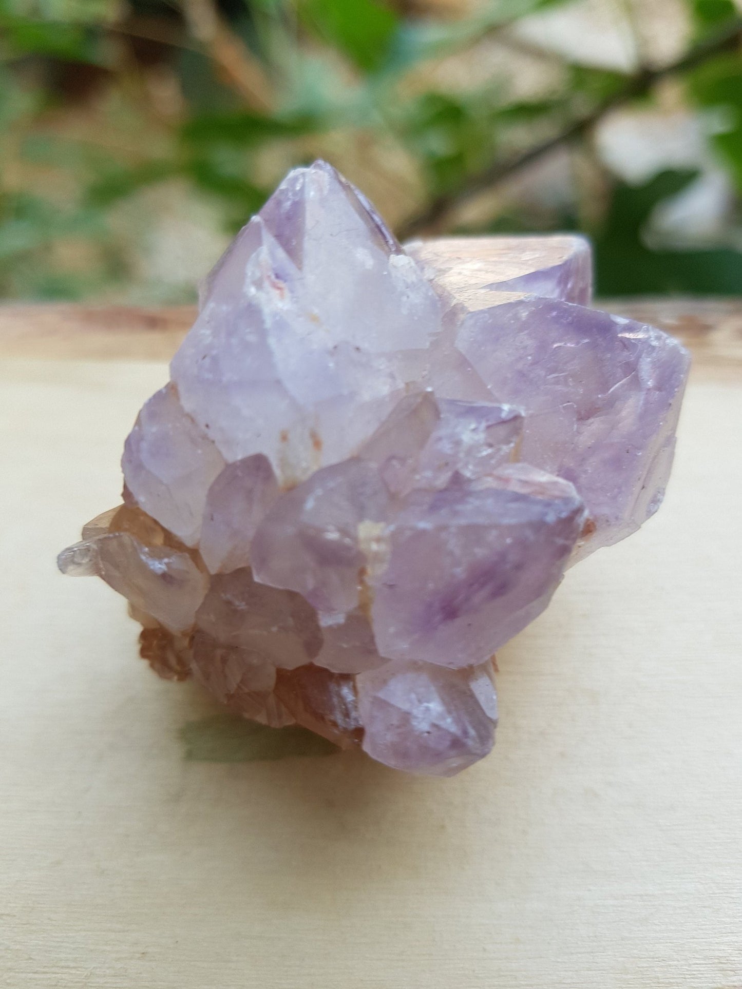 Laveder Spirit Quartz , Amethyst Cactus Quartz, Crystal Clusters - LunarGem -