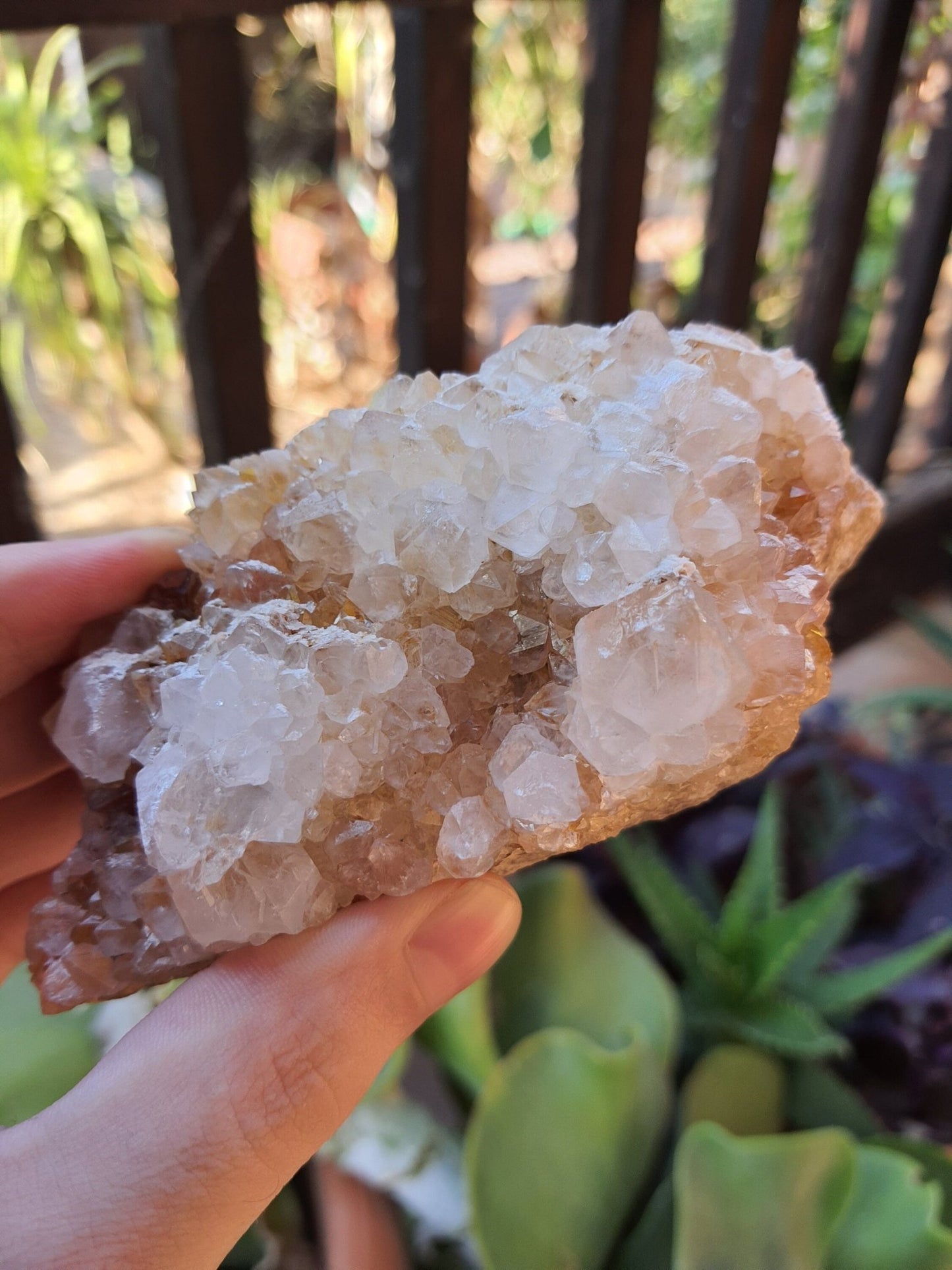 Natural Congo Citrine Cluster: Kundalini Mineral Specimen, 351g - LunarGem -