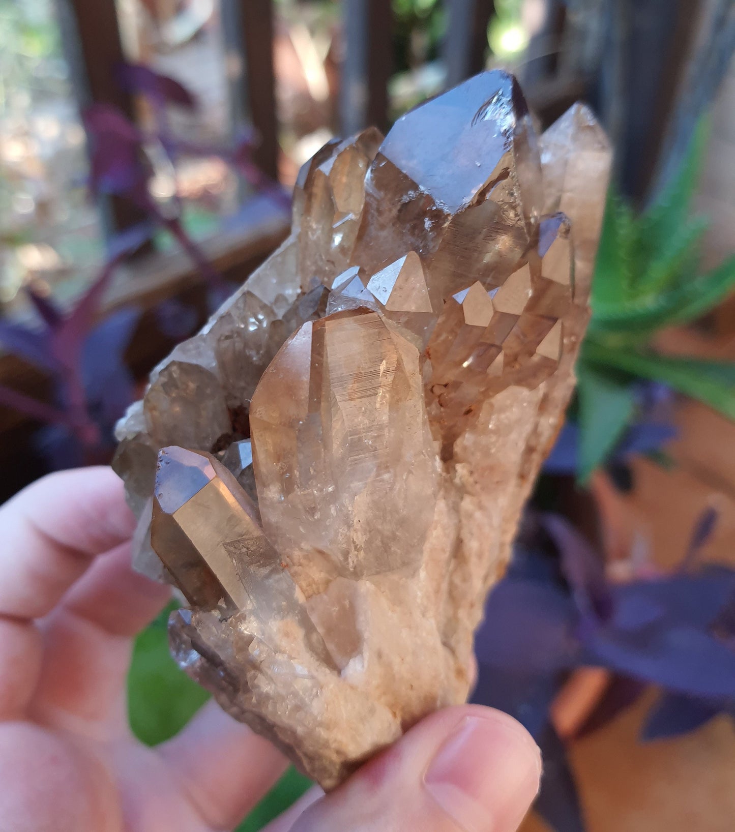 A++ Natural Congo Citrine Cluster Medium Mineral Specimen Kundalini Citrine Cluster Collectors Specimen 508g
