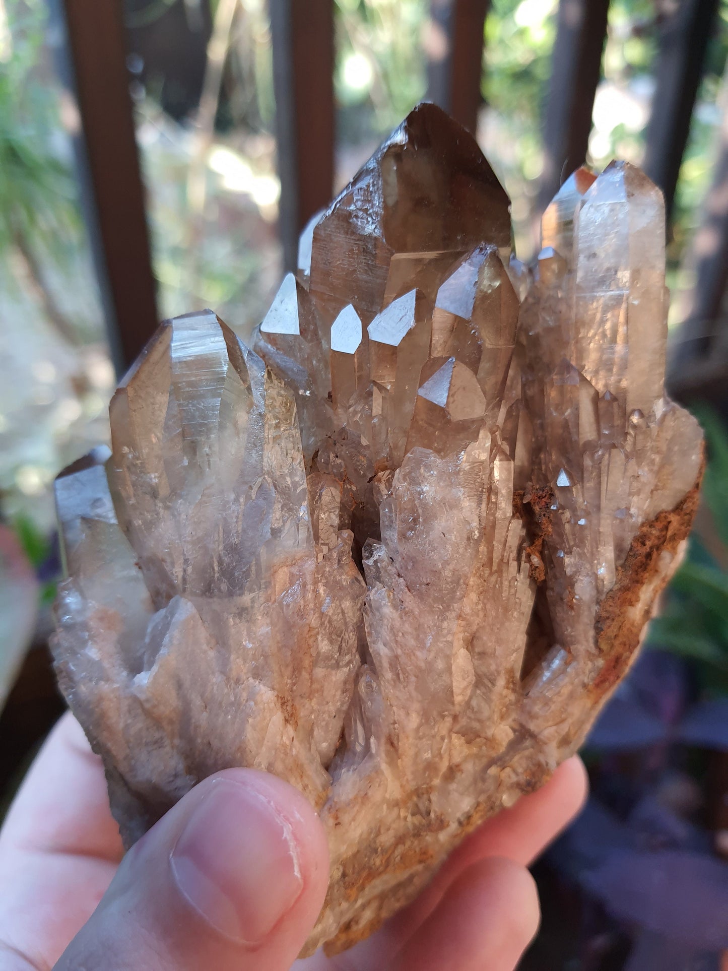 A++ Natural Congo Citrine Cluster Medium Mineral Specimen Kundalini Citrine Cluster Collectors Specimen 508g