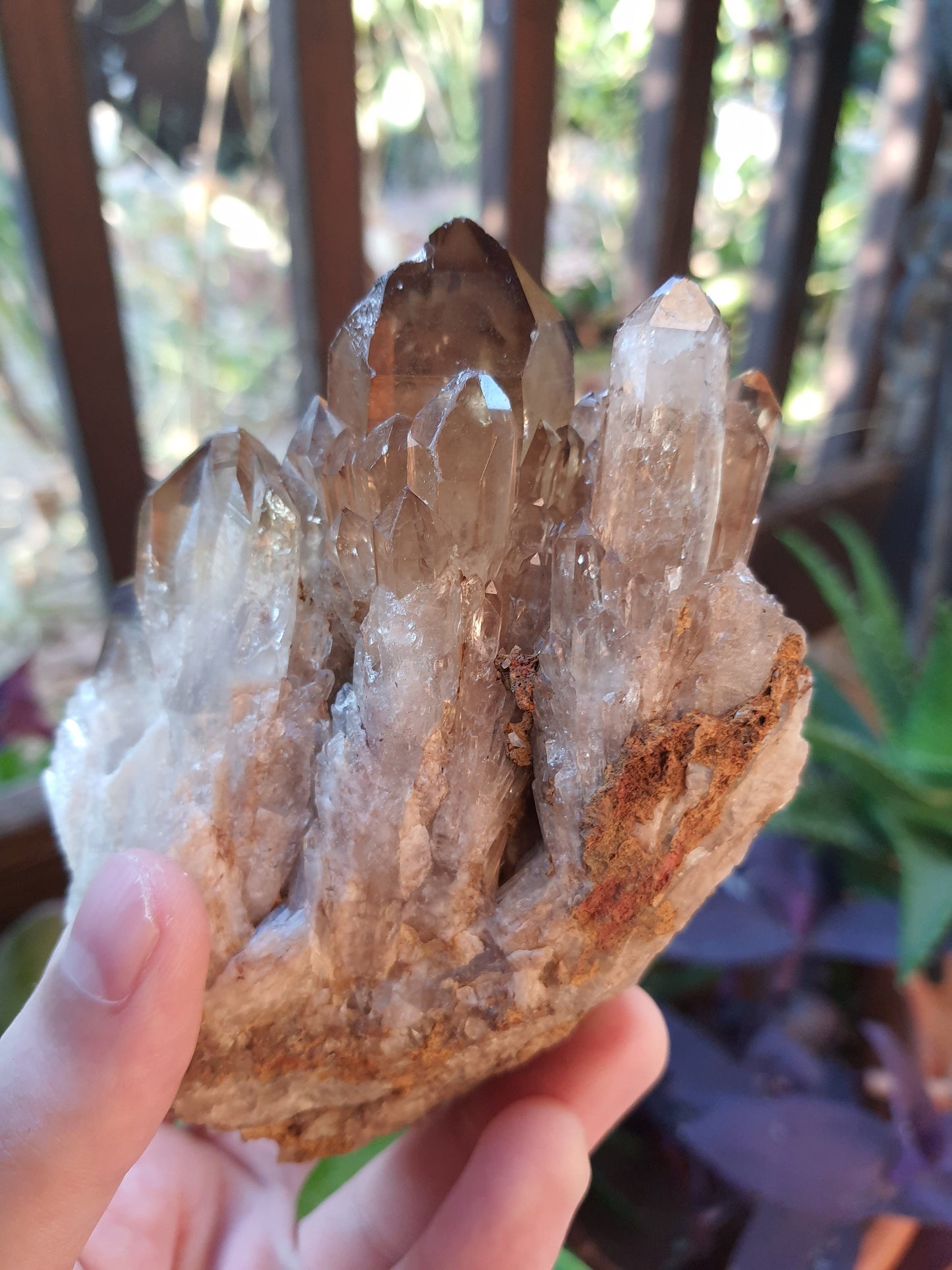 A++ Natural Congo Citrine Cluster Medium Mineral Specimen Kundalini Citrine Cluster Collectors Specimen 508g