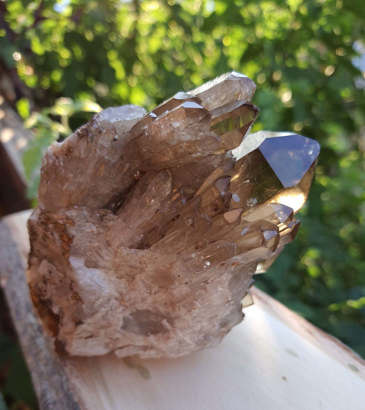 A++ Natural Congo Citrine Cluster Medium Mineral Specimen Kundalini Citrine Cluster Collectors Specimen 508g