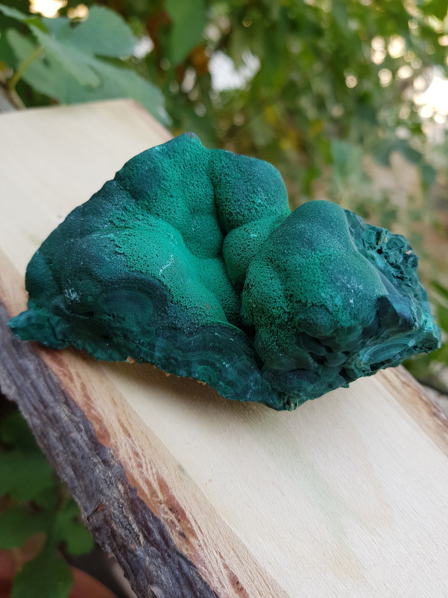 Botryoidal Malachite Specimen 285g Raw Natural Malachite Specimen from Congo, Raw Malachite,