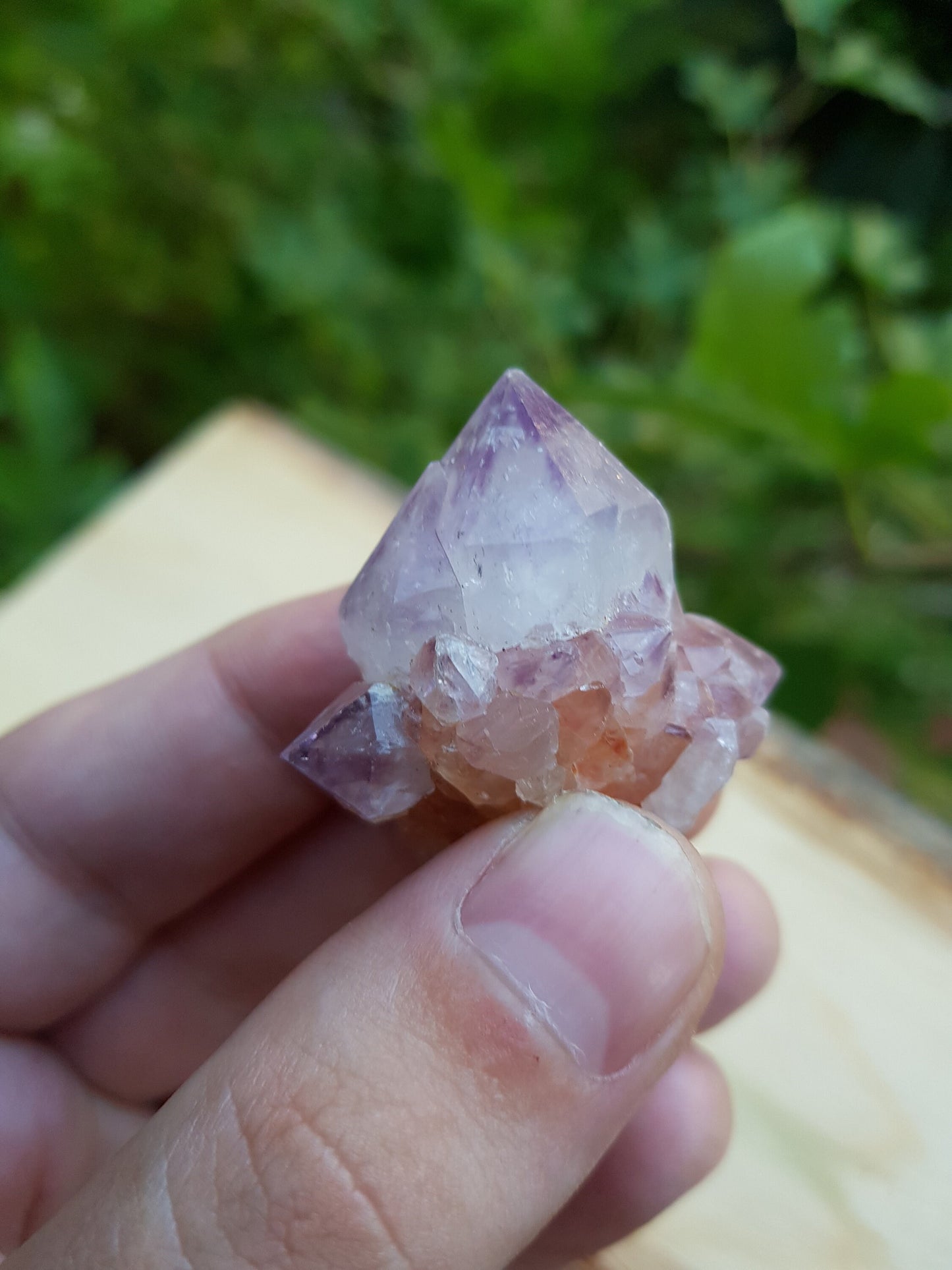 Amethyst Spirit Quartz , Amethyst Cactus Quartz, Crystals Rocks Minerals