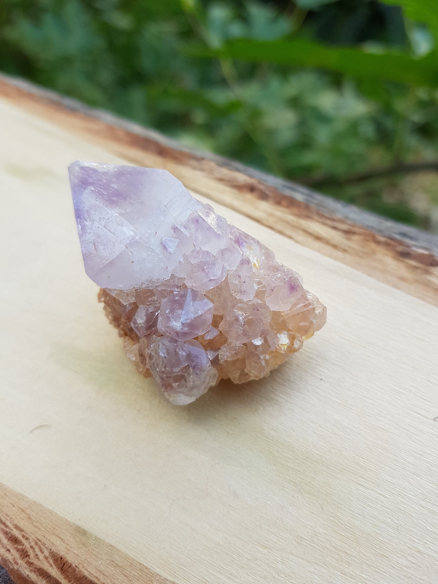 Amethyst Spirit Quartz , Amethyst Cactus Quartz, Crystals Rocks Minerals