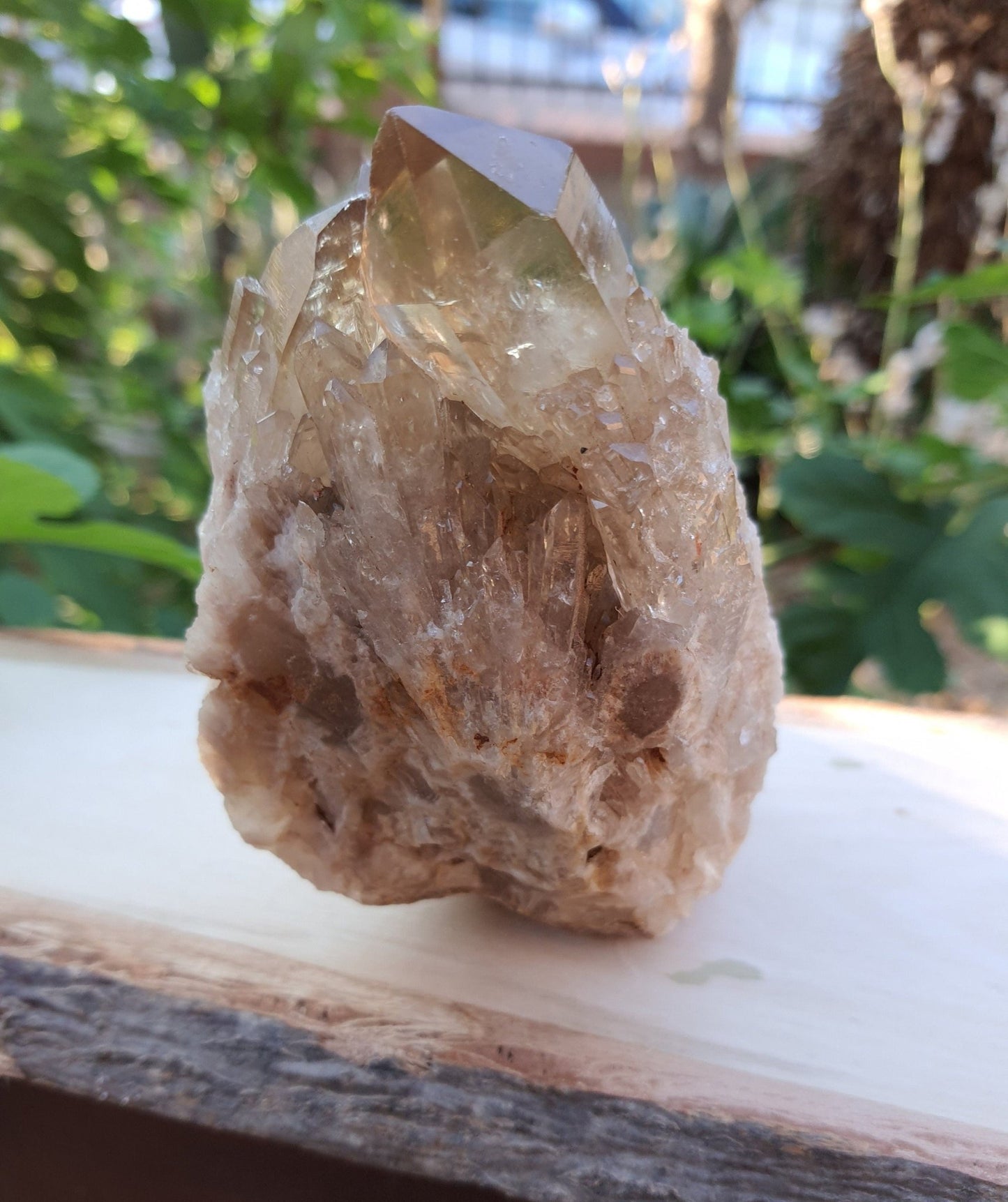 A++ Natural Congo Citrine Cluster Medium Mineral Specimen Kundalini Citrine Cluster Collectors Specimen 533g - LunarGem - 