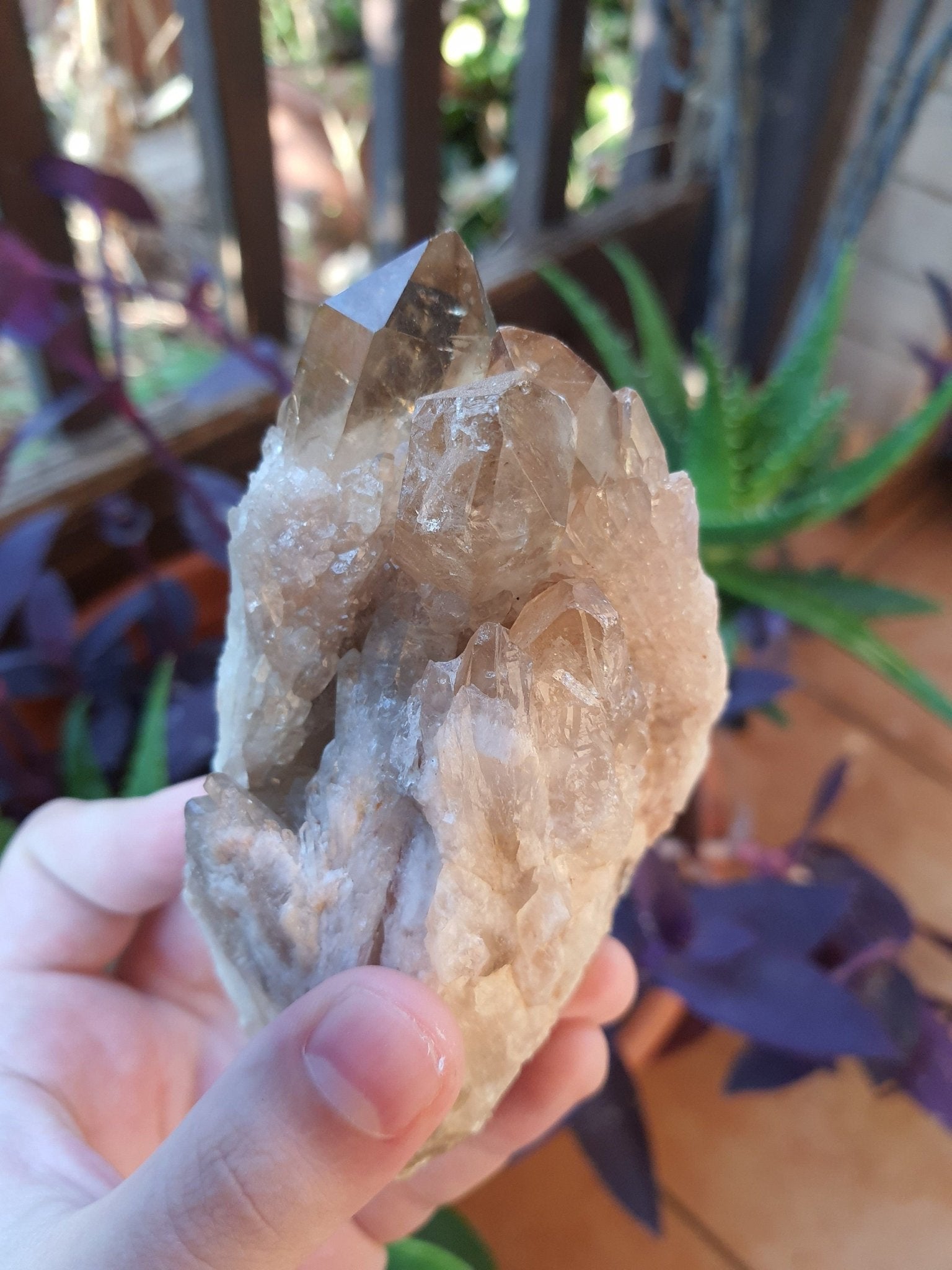 A++ Natural Congo Citrine Cluster Medium Mineral Specimen Kundalini Citrine Cluster Collectors Specimen 533g - LunarGem - 