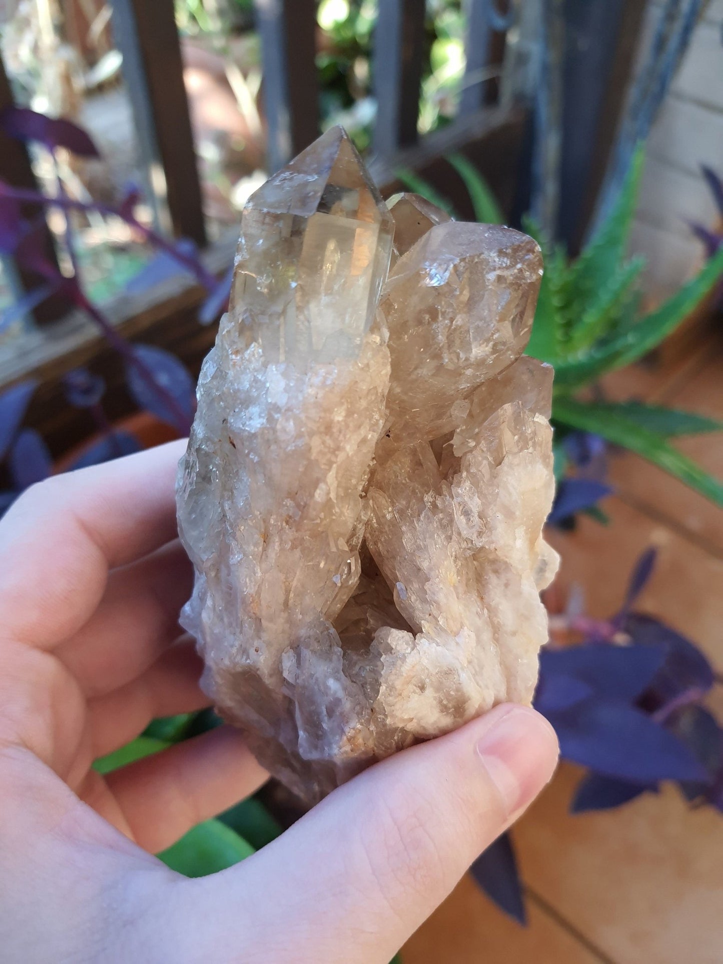 A++ Natural Congo Citrine Cluster Medium Mineral Specimen Kundalini Citrine Cluster Collectors Specimen 533g - LunarGem - 