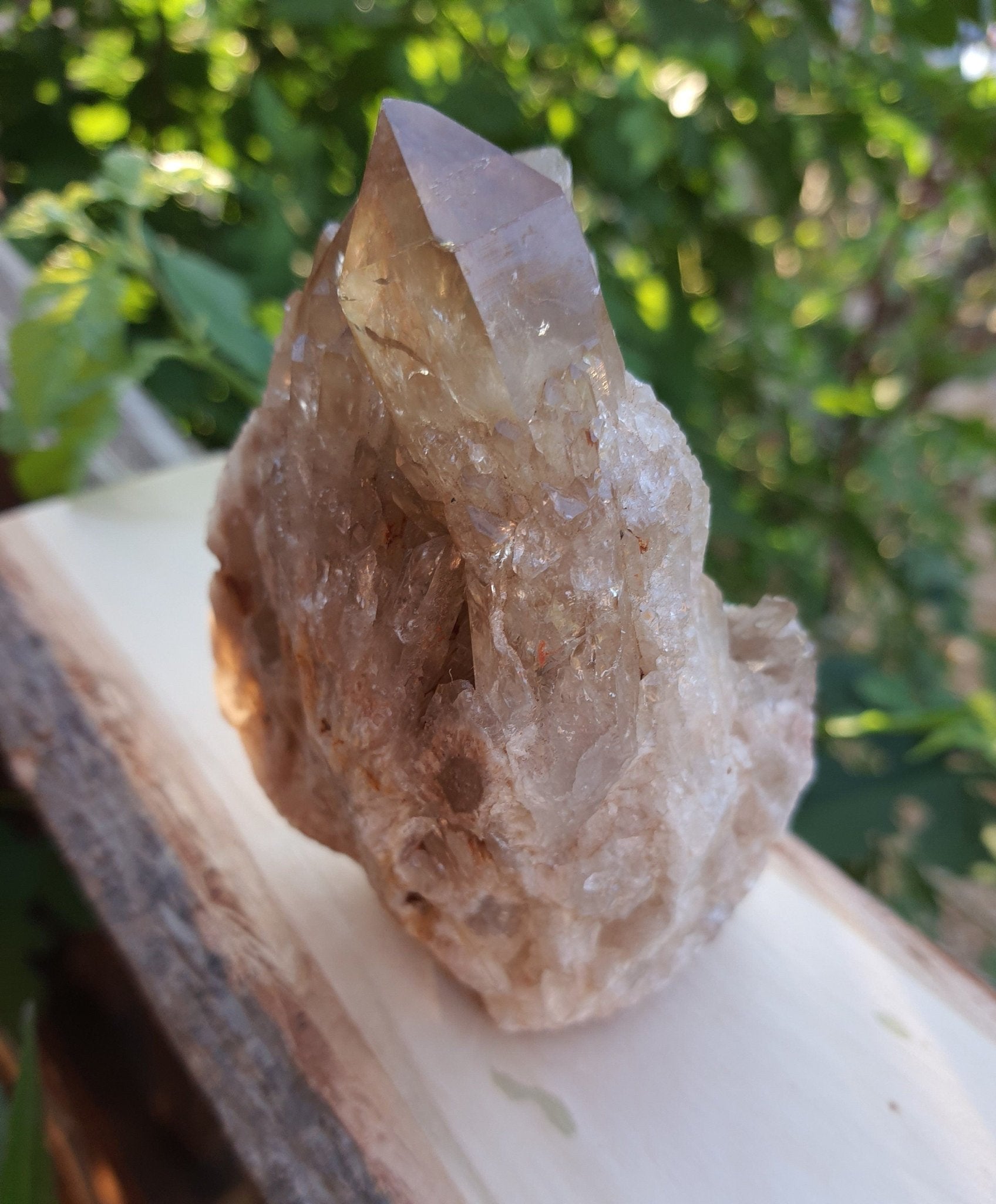 A++ Natural Congo Citrine Cluster Medium Mineral Specimen Kundalini Citrine Cluster Collectors Specimen 533g - LunarGem - 