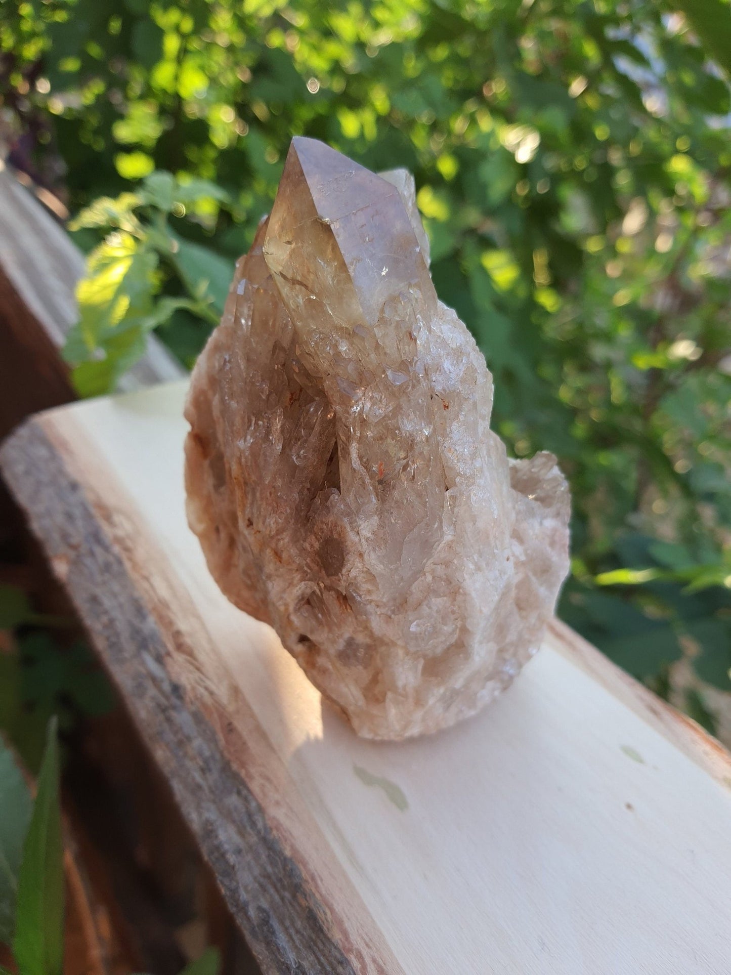 A++ Natural Congo Citrine Cluster Medium Mineral Specimen Kundalini Citrine Cluster Collectors Specimen 533g - LunarGem - 