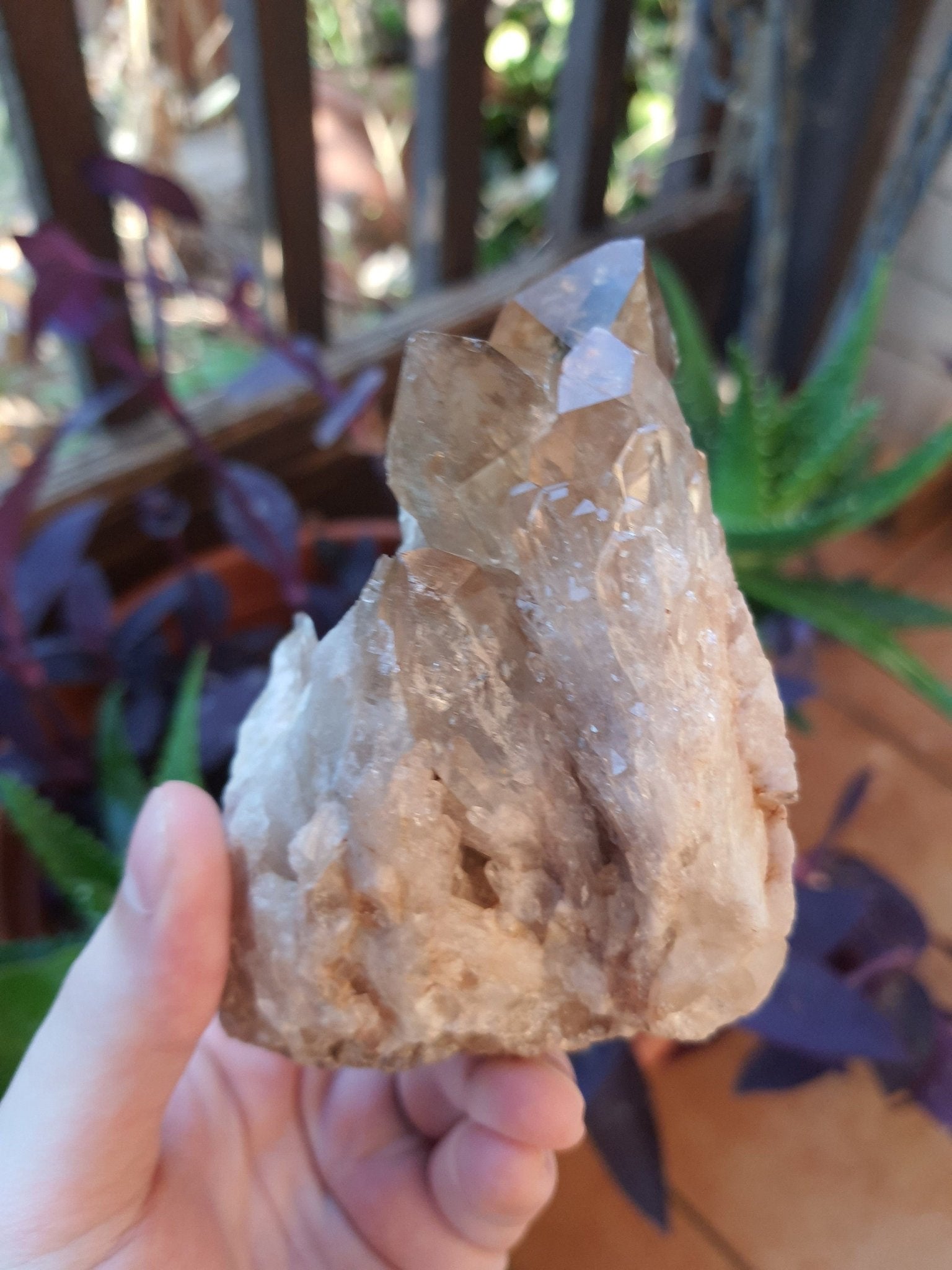 A++ Natural Congo Citrine Cluster Medium Mineral Specimen Kundalini Citrine Cluster Collectors Specimen 533g - LunarGem - 