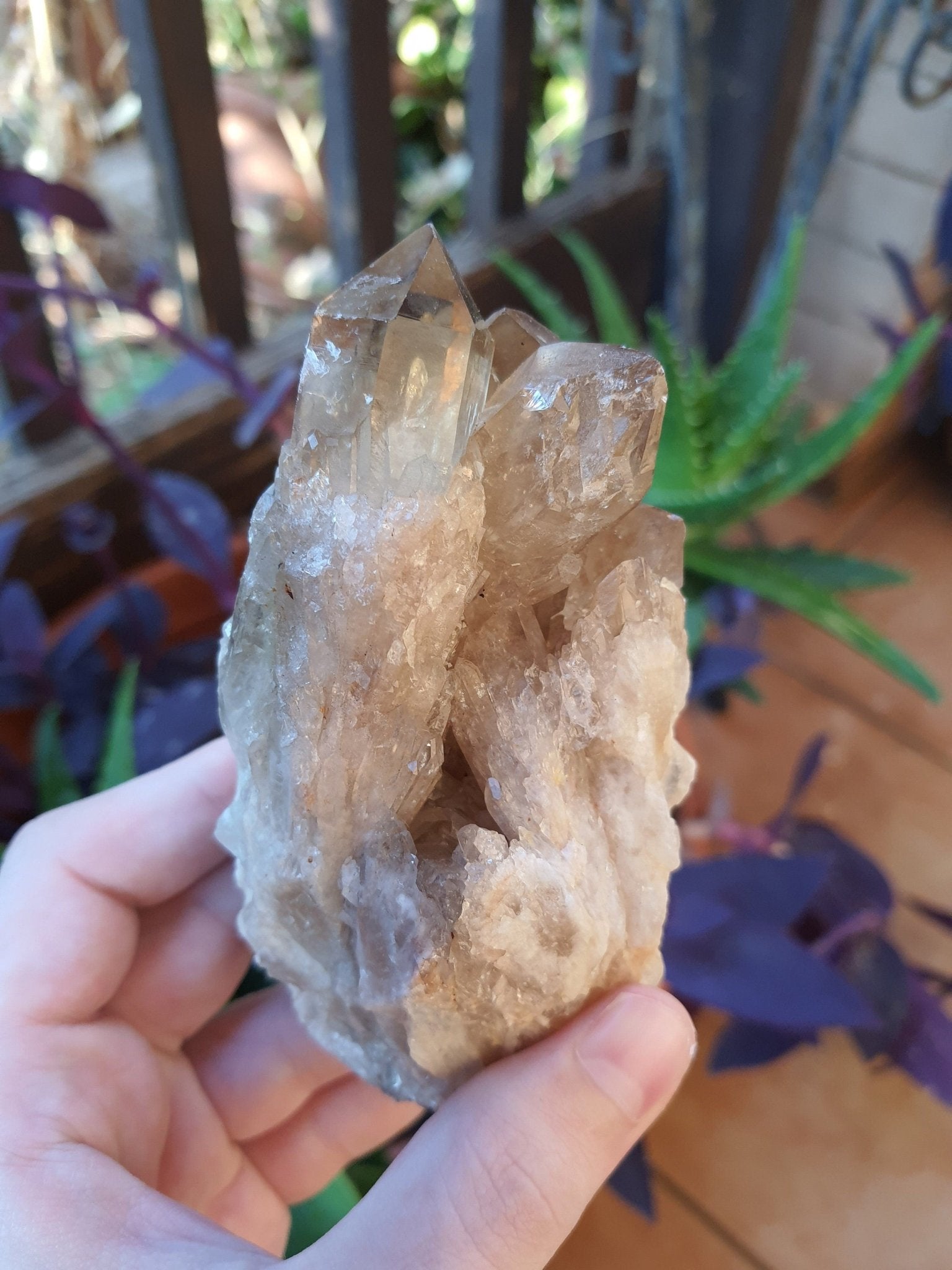 A++ Natural Congo Citrine Cluster Medium Mineral Specimen Kundalini Citrine Cluster Collectors Specimen 533g - LunarGem - 