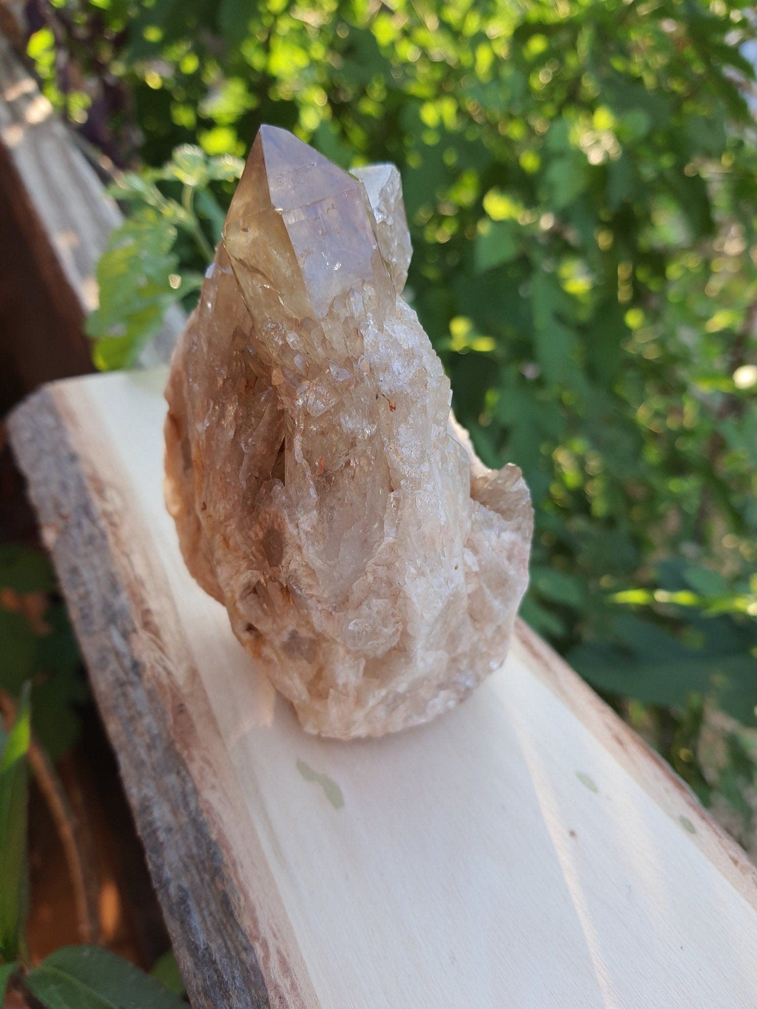 A++ Natural Congo Citrine Cluster Medium Mineral Specimen Kundalini Citrine Cluster Collectors Specimen 533g - LunarGem - 