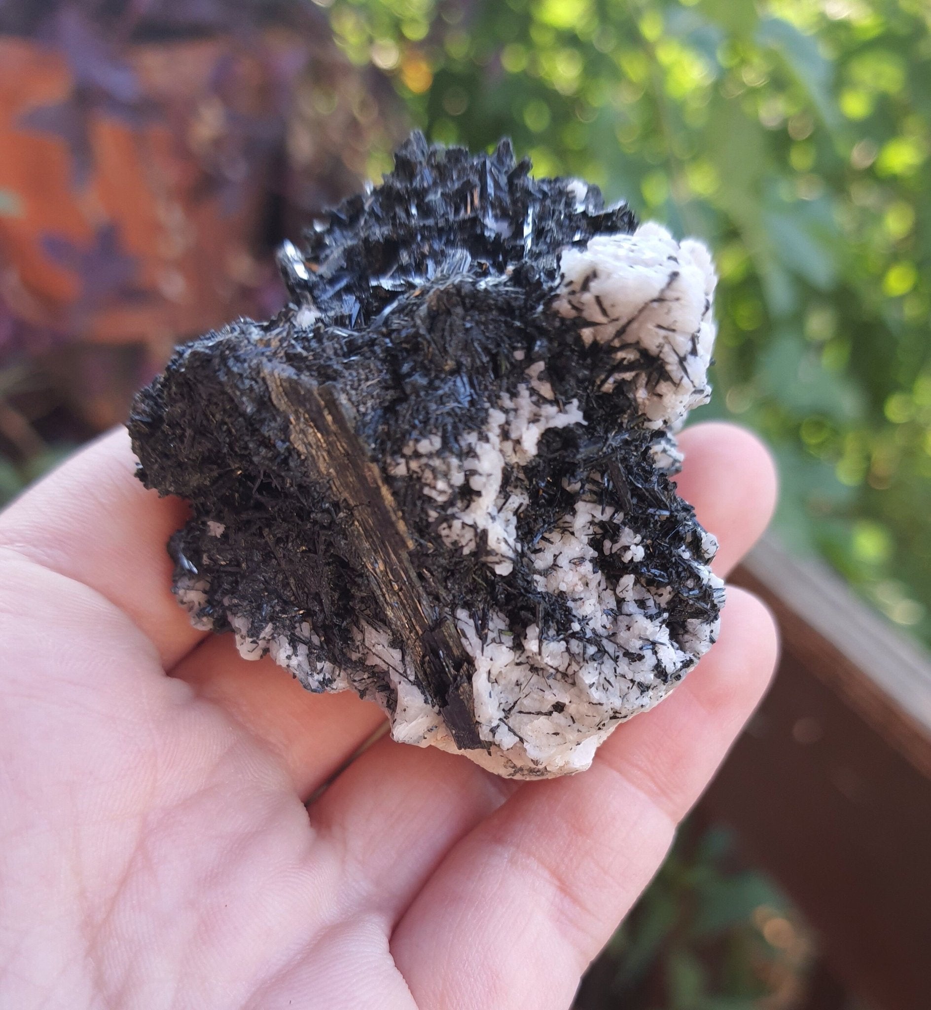 Aegirine & Orthoclase Specimen: Raw Crystal Blade from Malawi (100g) - LunarGem - 