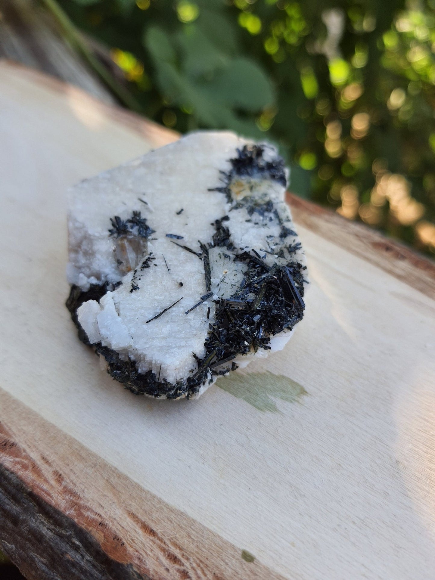 Aegirine & Orthoclase Specimen: Raw Crystal Blade from Malawi (61g) - LunarGem - 