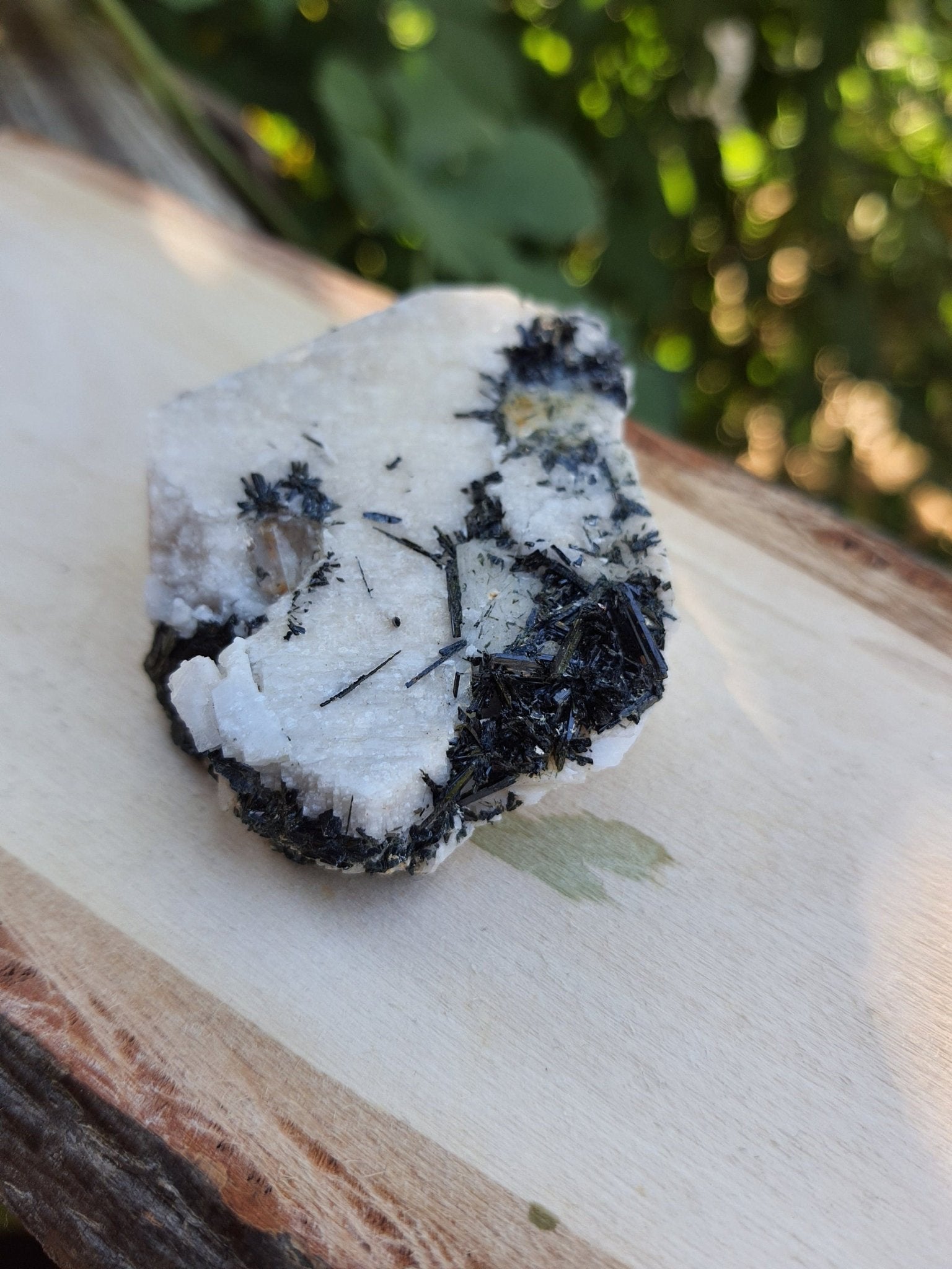 Aegirine & Orthoclase Specimen: Raw Crystal Blade from Malawi (61g) - LunarGem - 