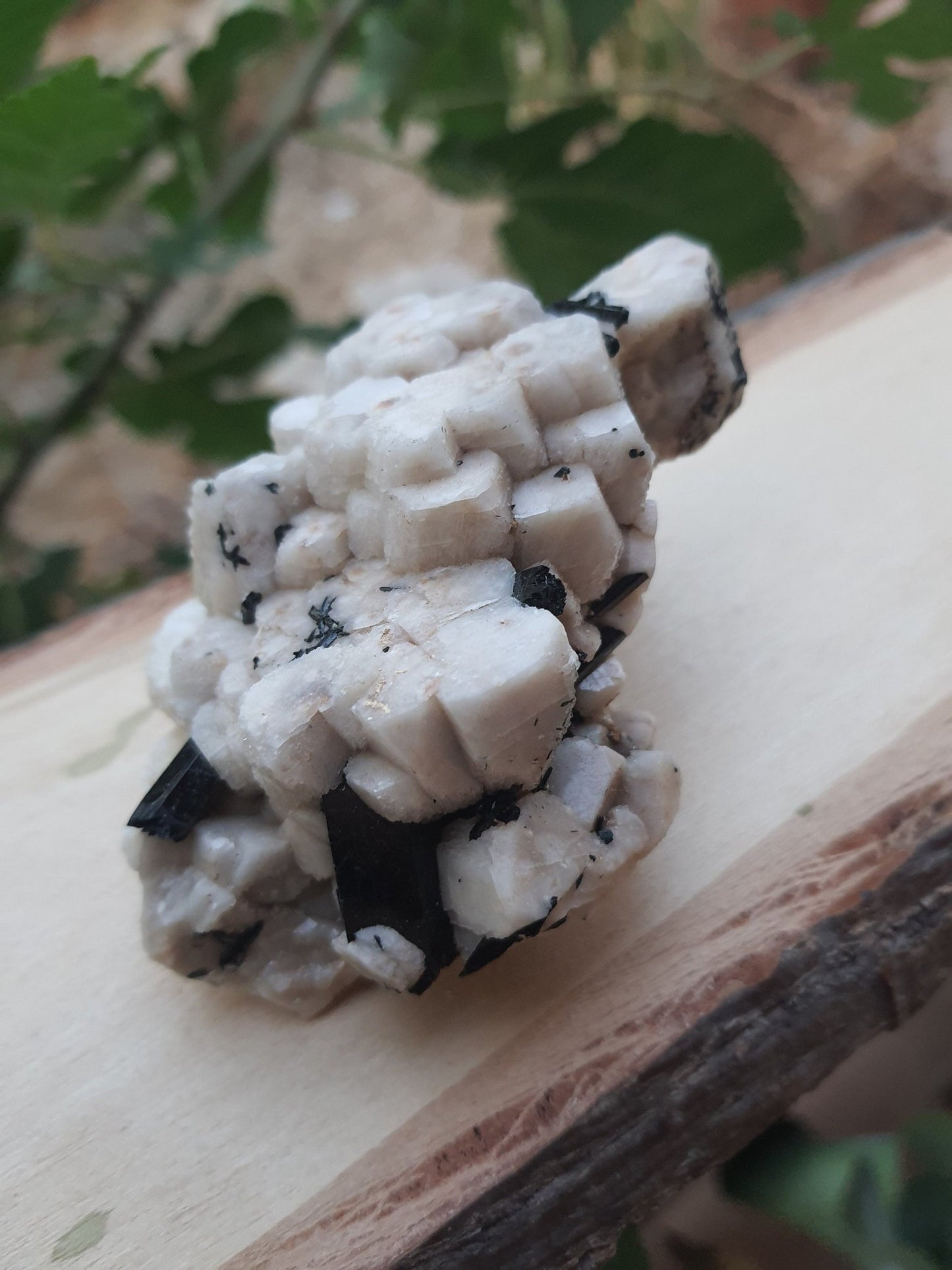 Aegirine with Orthoclase Specimen, Raw Crystal Blade (172g) - LunarGem - 