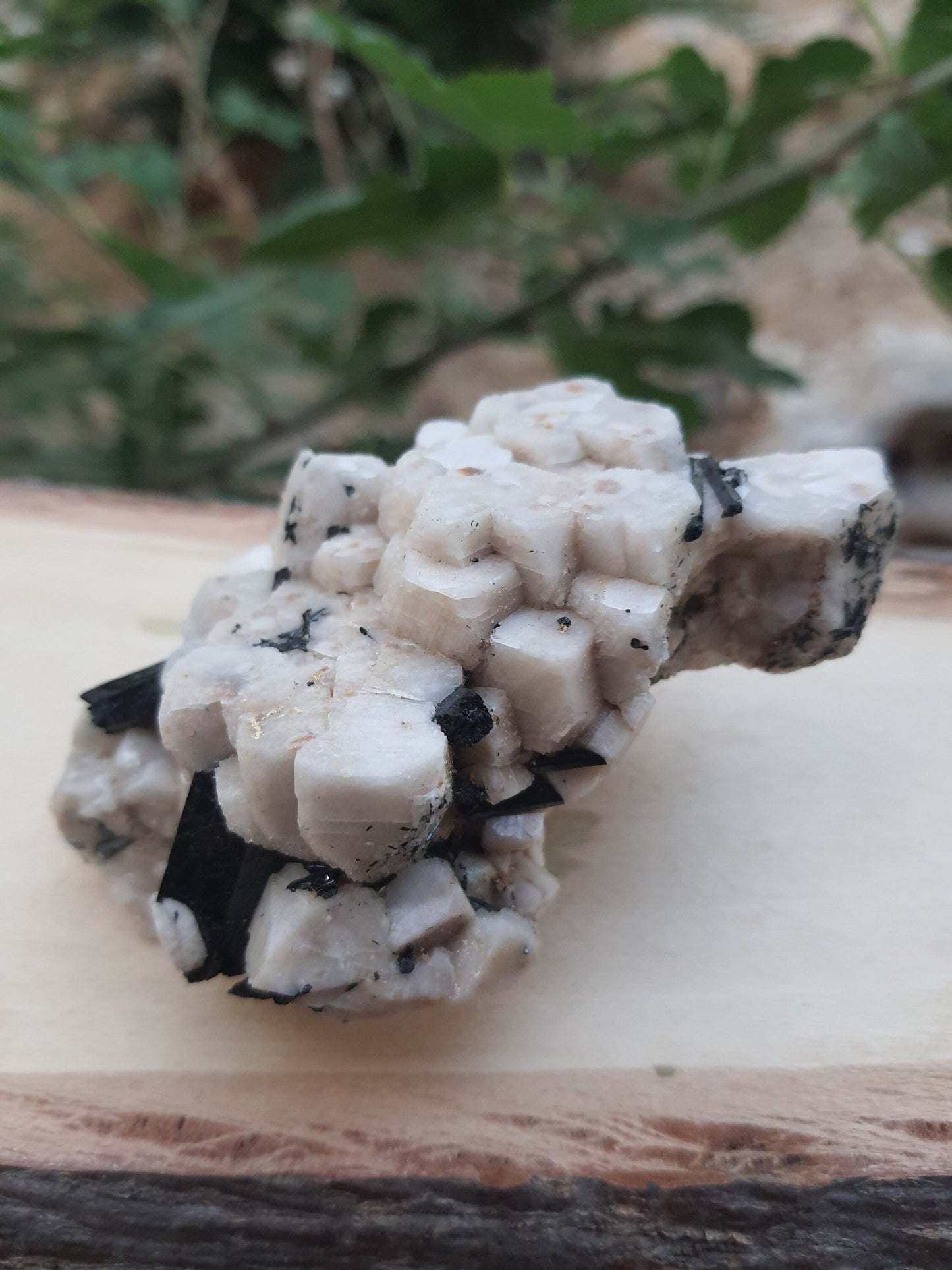 Aegirine with Orthoclase Specimen, Raw Crystal Blade (172g) - LunarGem - 