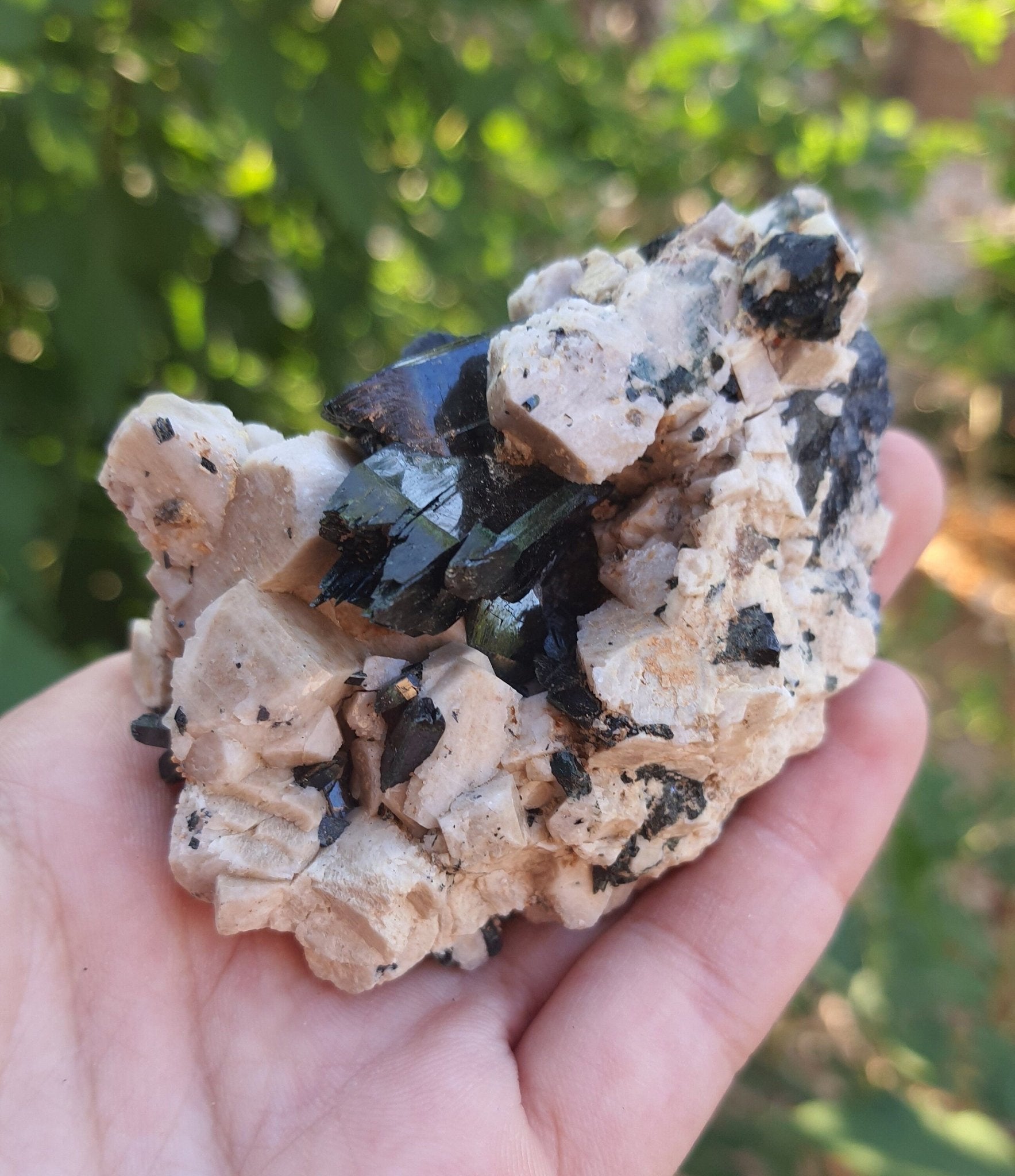 Aegirine with Orthoclase Specimen: Raw Crystal Blade from Malawi (155g) - LunarGem - 