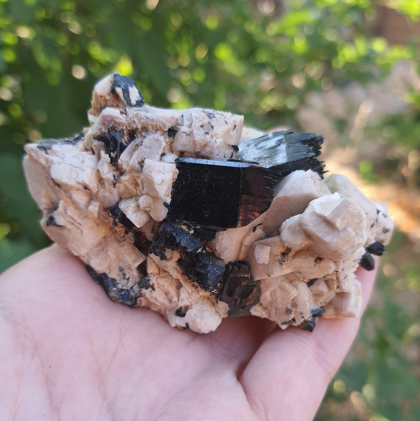 Aegirine with Orthoclase Specimen: Raw Crystal Blade from Malawi (155g) - LunarGem - 