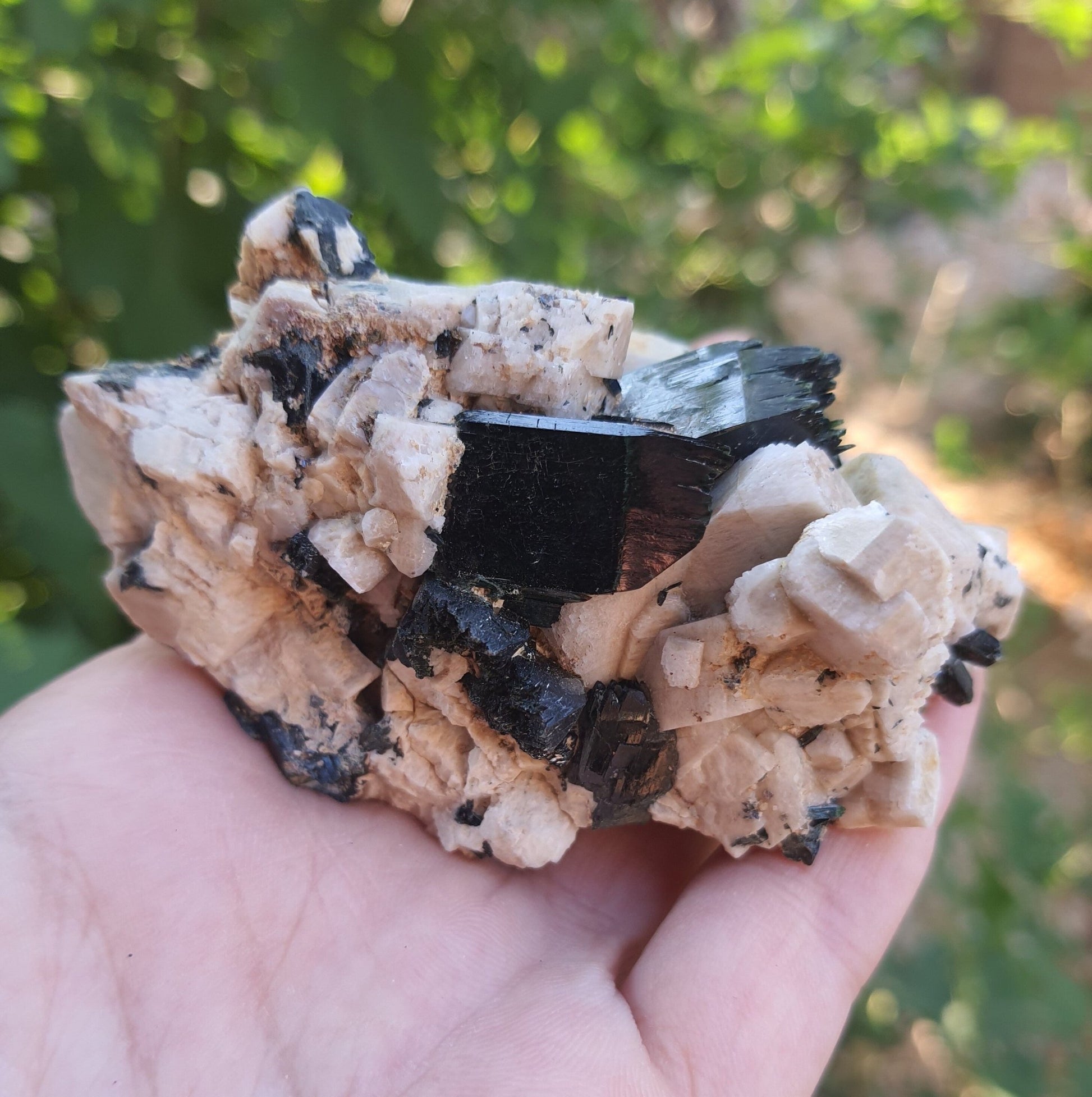 Aegirine with Orthoclase Specimen: Raw Crystal Blade from Malawi (155g) - LunarGem - 