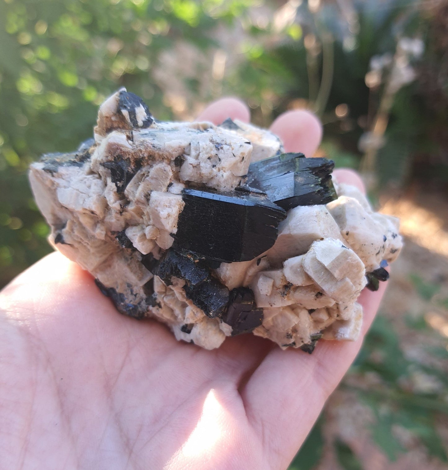 Aegirine with Orthoclase Specimen: Raw Crystal Blade from Malawi (155g) - LunarGem - 