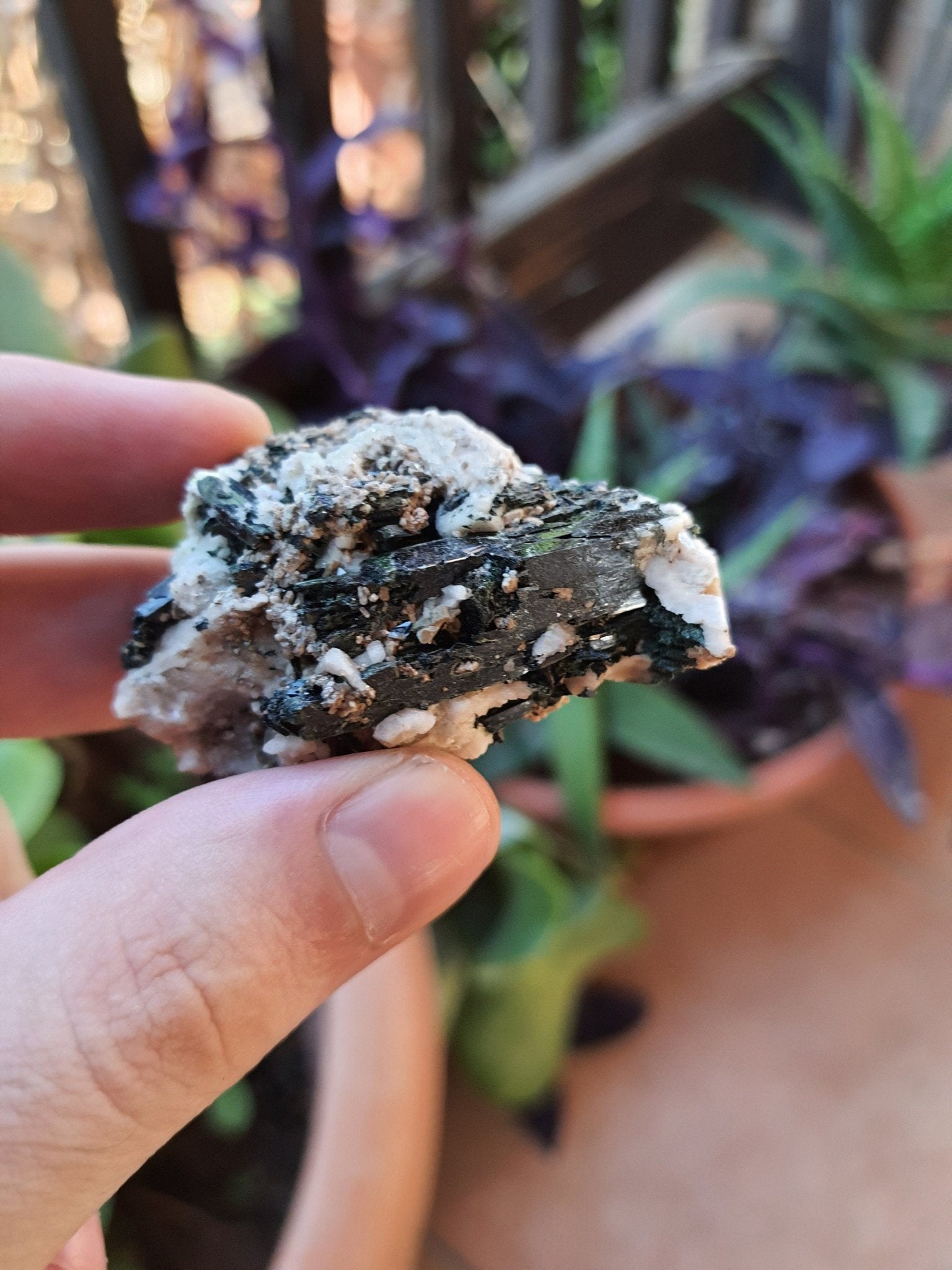 Aegirine with Orthoclase Specimen: Raw Crystal Blade from Malawi (47g) - LunarGem - 