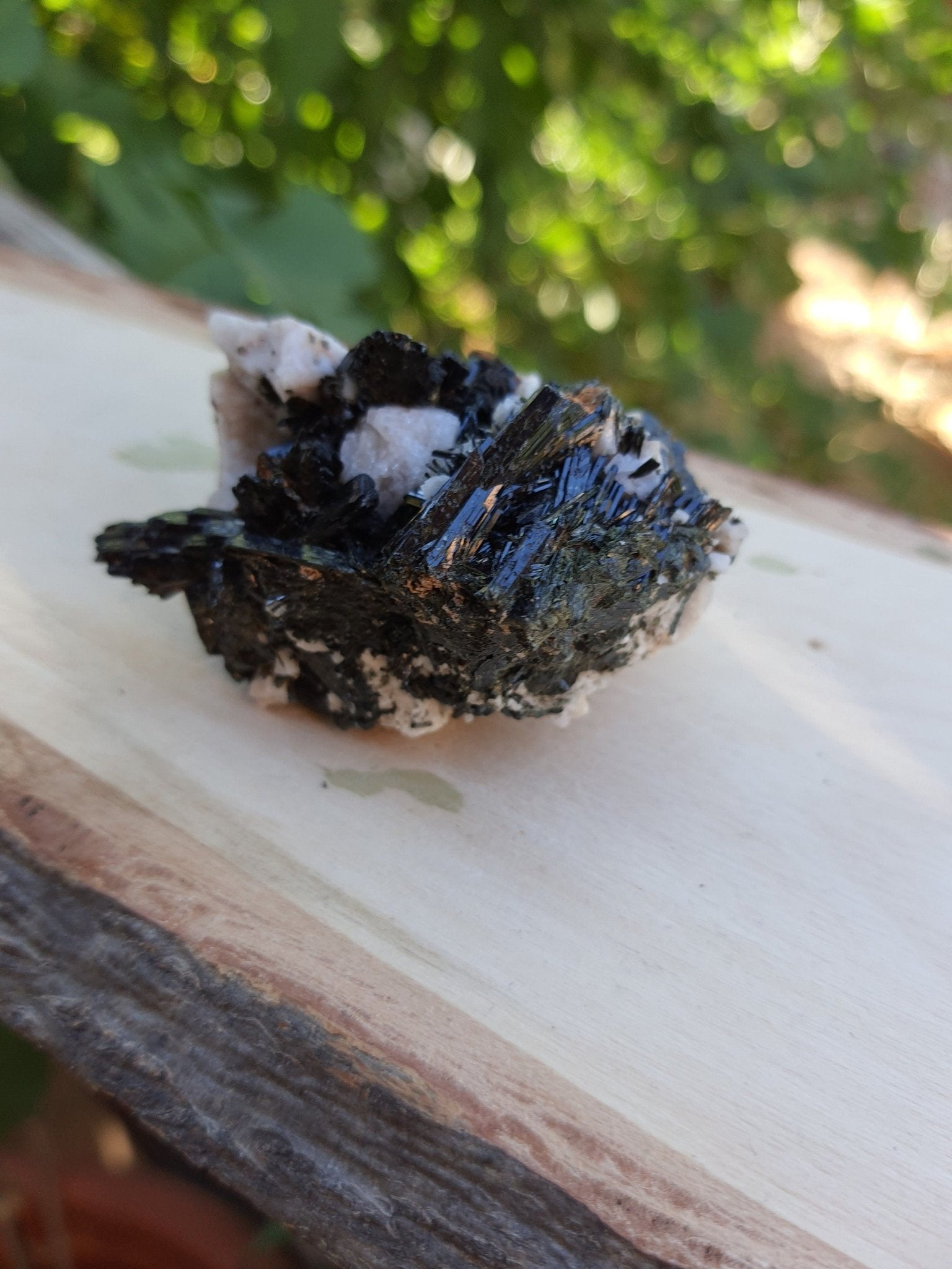 Aegirine with Orthoclase Specimen: Raw Crystal Blade from Malawi - LunarGem - 