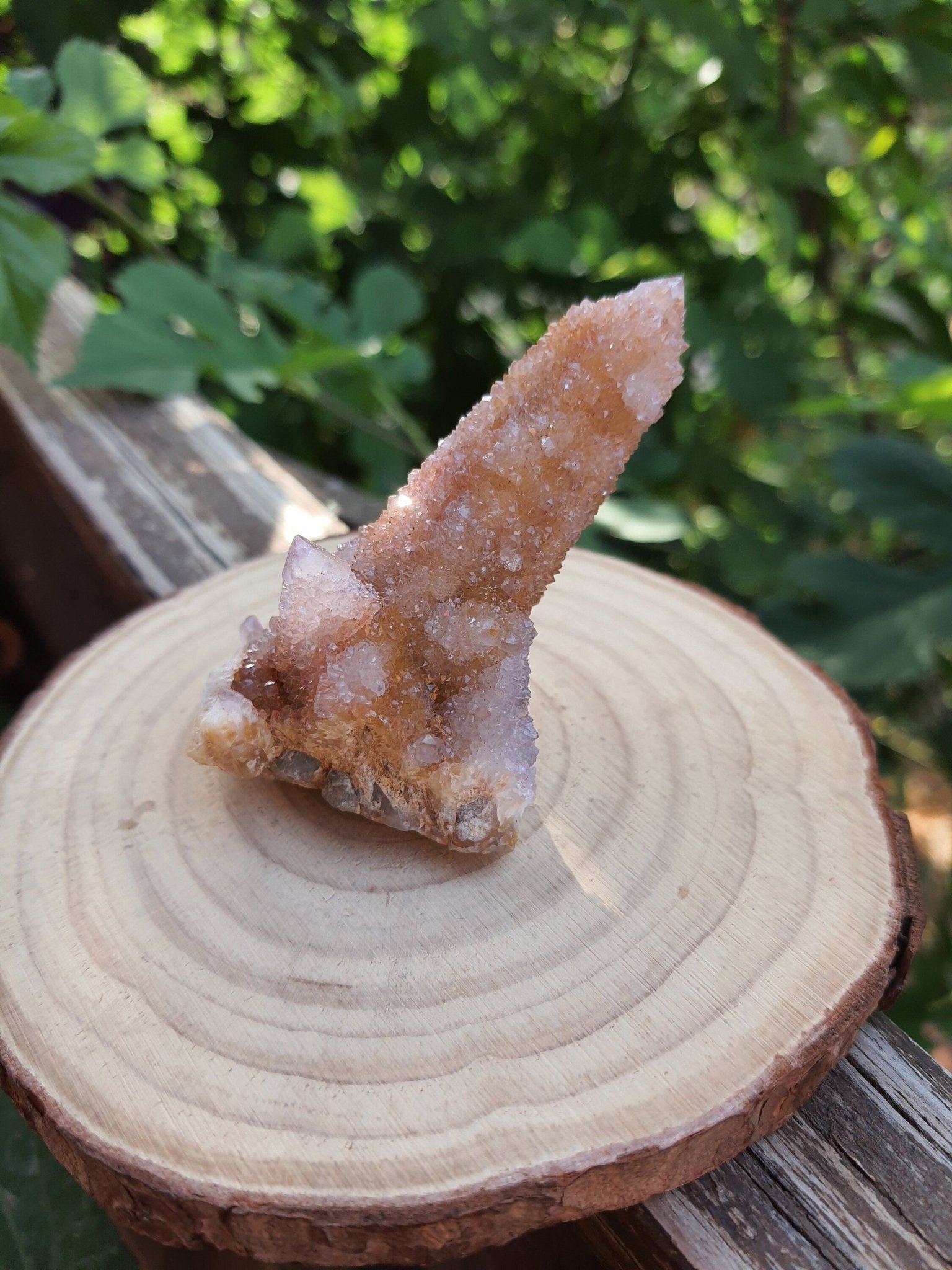 Amethyst Spirit Quartz Cluster: Cactus Quartz Ring Holder, 65g - LunarGem - 