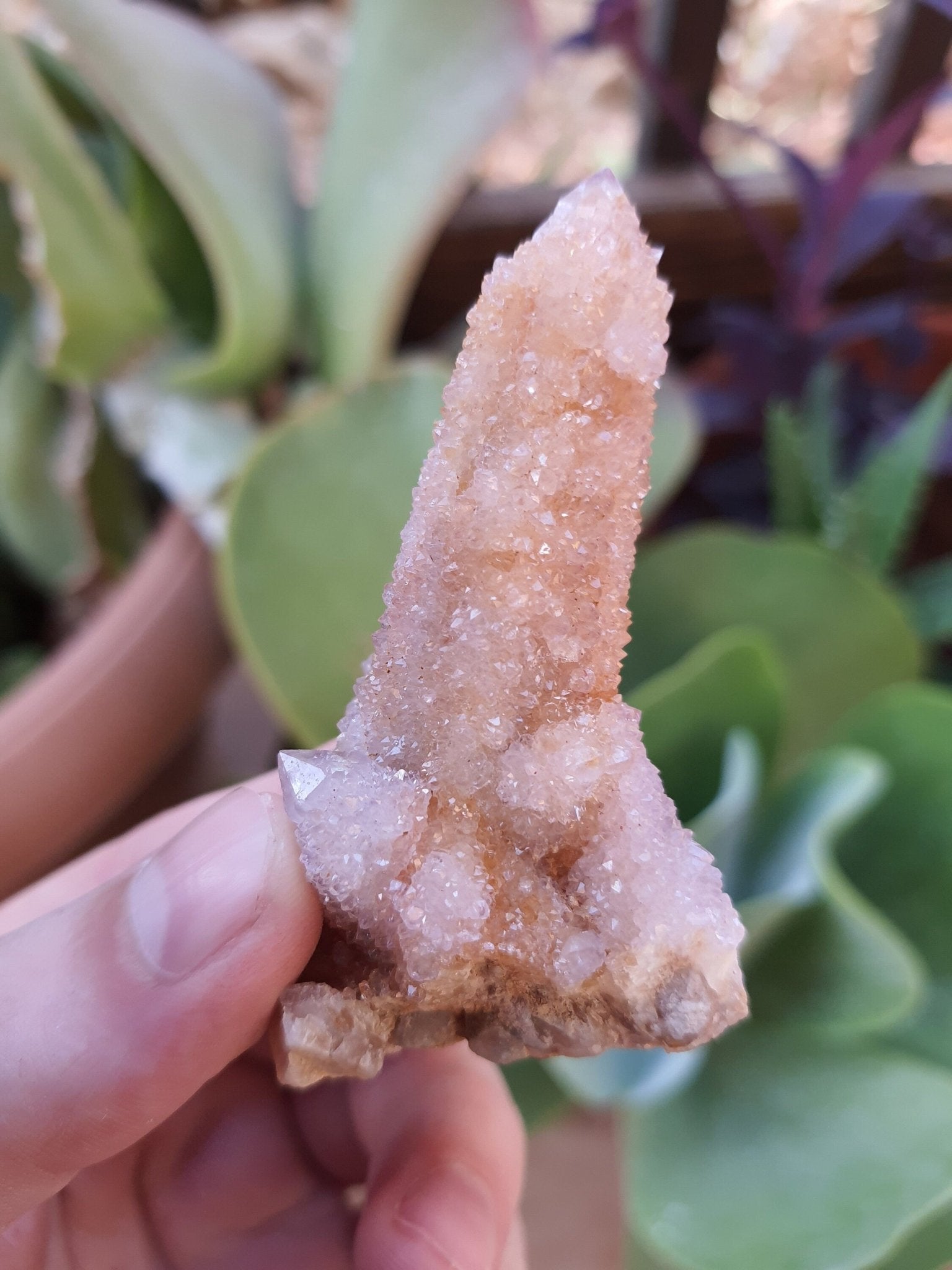 Amethyst Spirit Quartz Cluster: Cactus Quartz Ring Holder, 65g - LunarGem - 