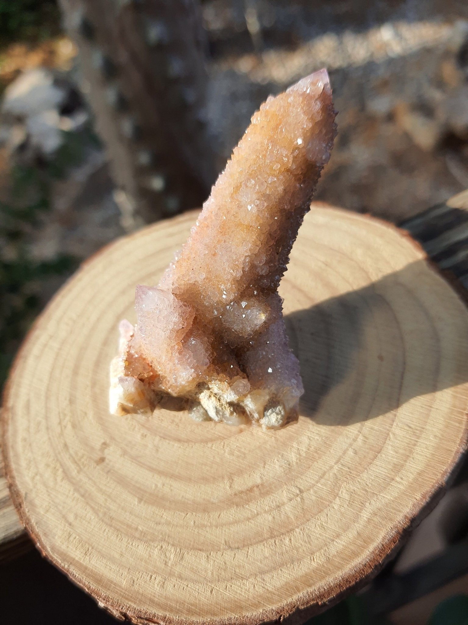 Amethyst Spirit Quartz Cluster: Cactus Quartz Ring Holder, 65g - LunarGem - 