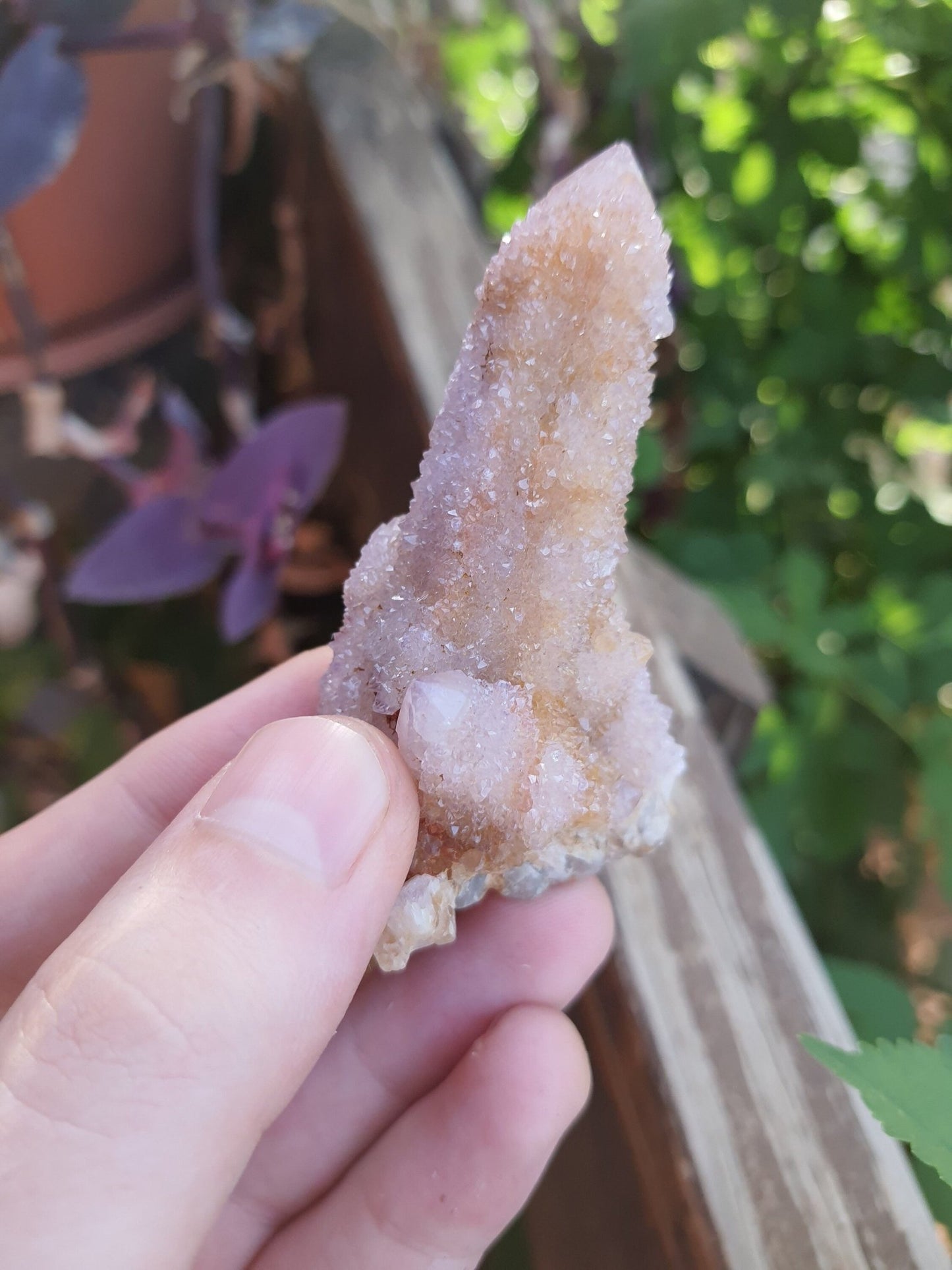 Amethyst Spirit Quartz Cluster: Cactus Quartz Ring Holder, 65g - LunarGem - 