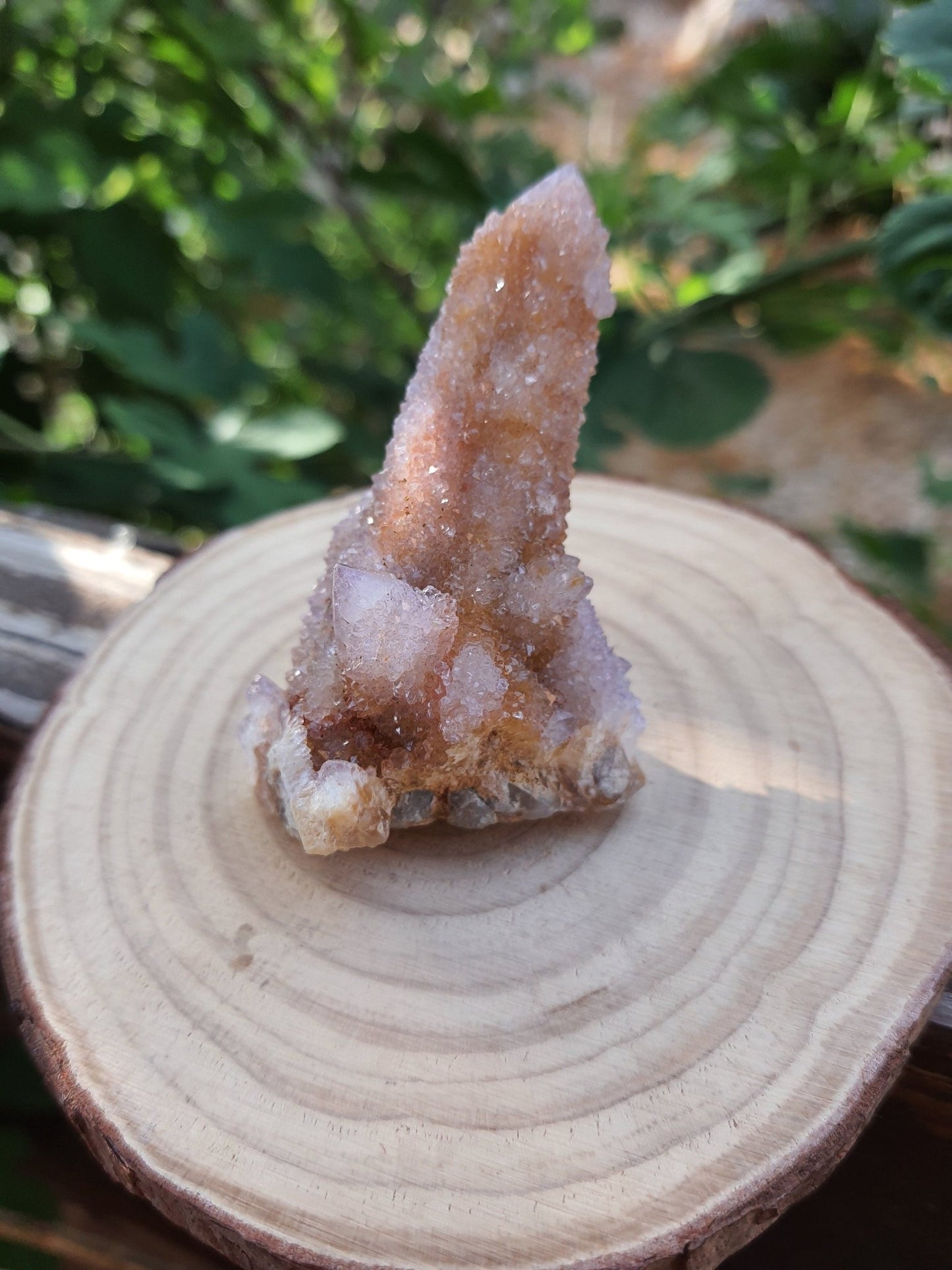 Amethyst Spirit Quartz Cluster: Cactus Quartz Ring Holder, 65g - LunarGem - 