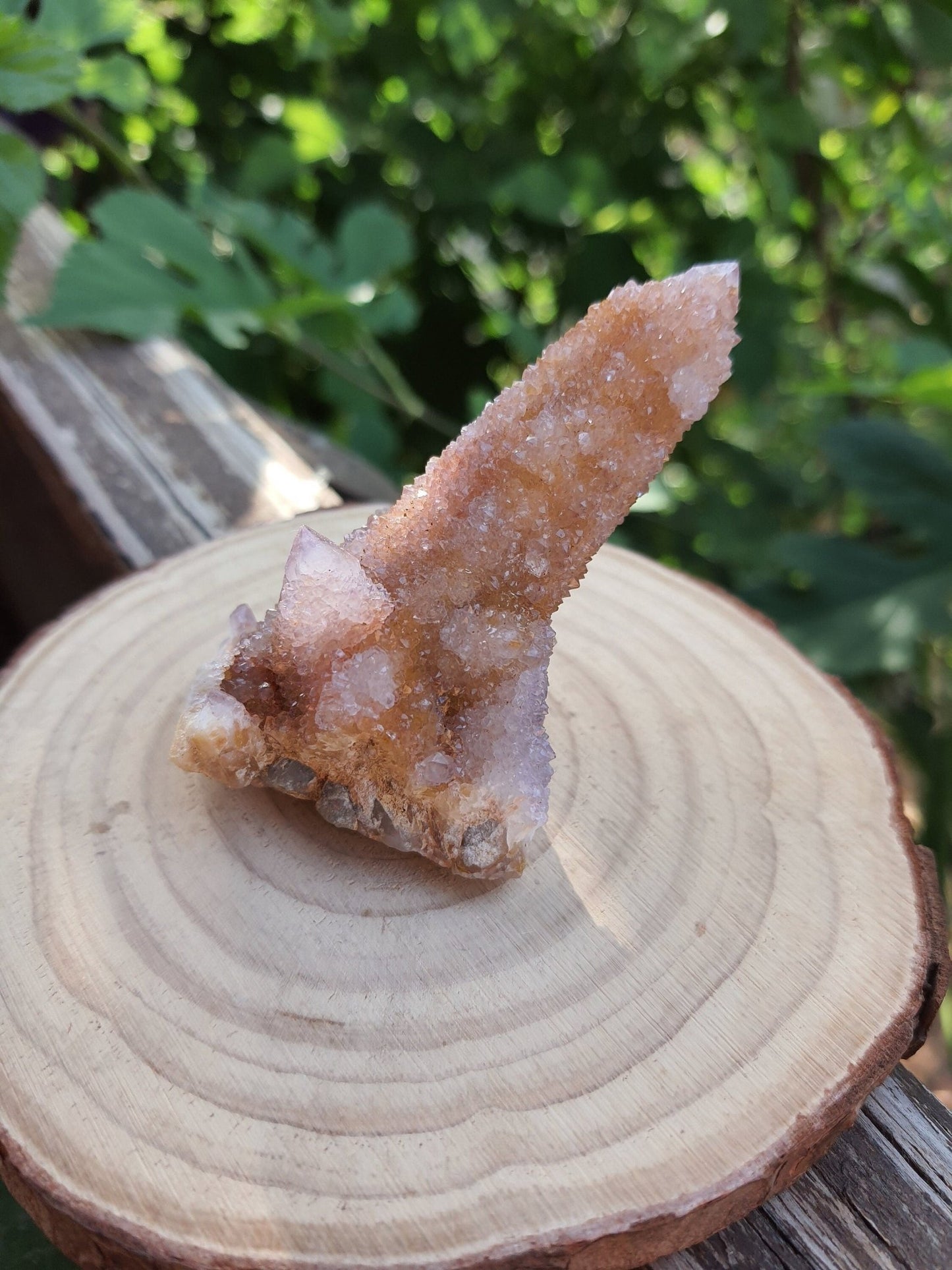 Amethyst Spirit Quartz Cluster: Cactus Quartz Ring Holder, 65g - LunarGem - 