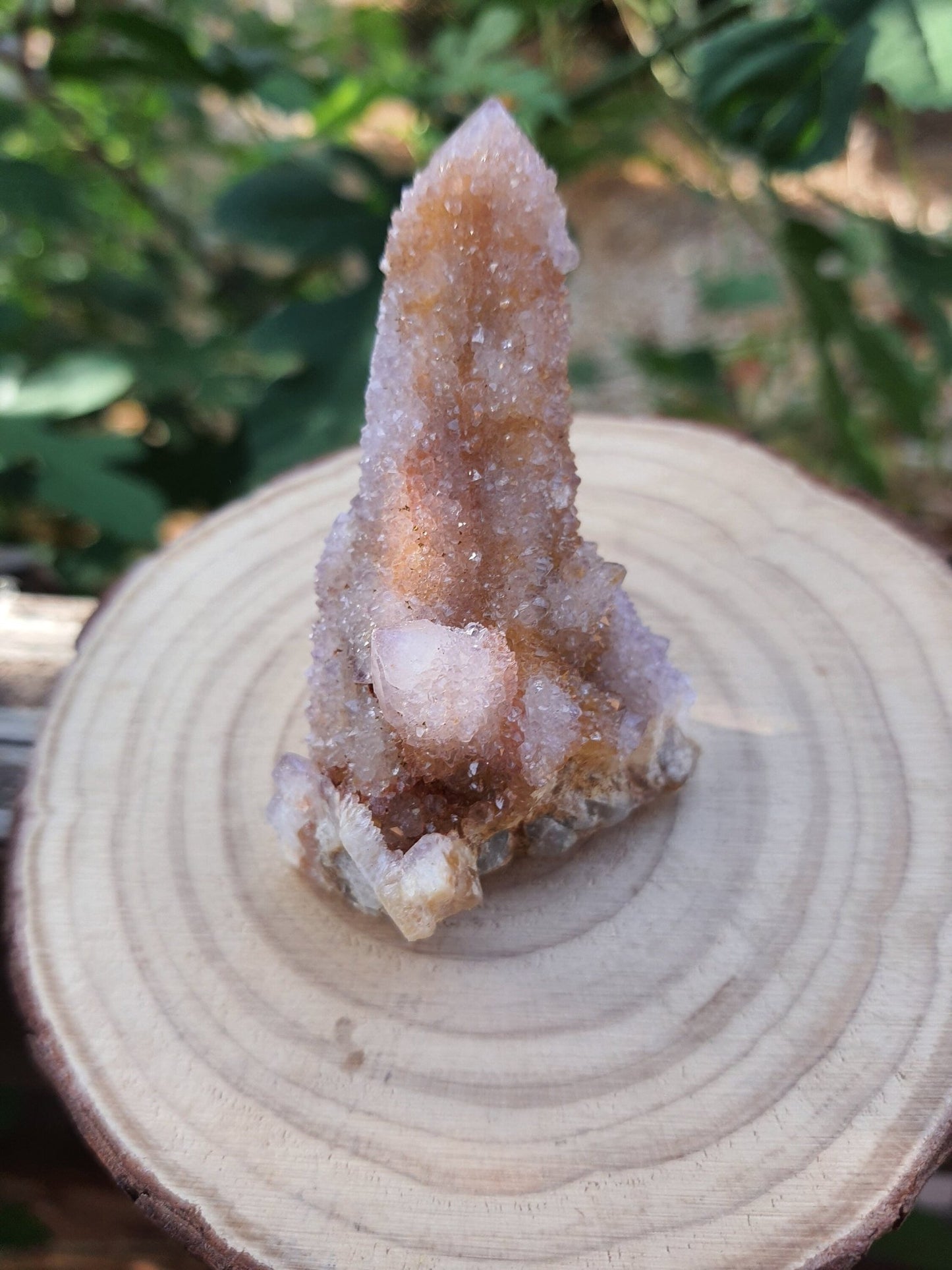 Amethyst Spirit Quartz Cluster: Cactus Quartz Ring Holder, 65g - LunarGem - 