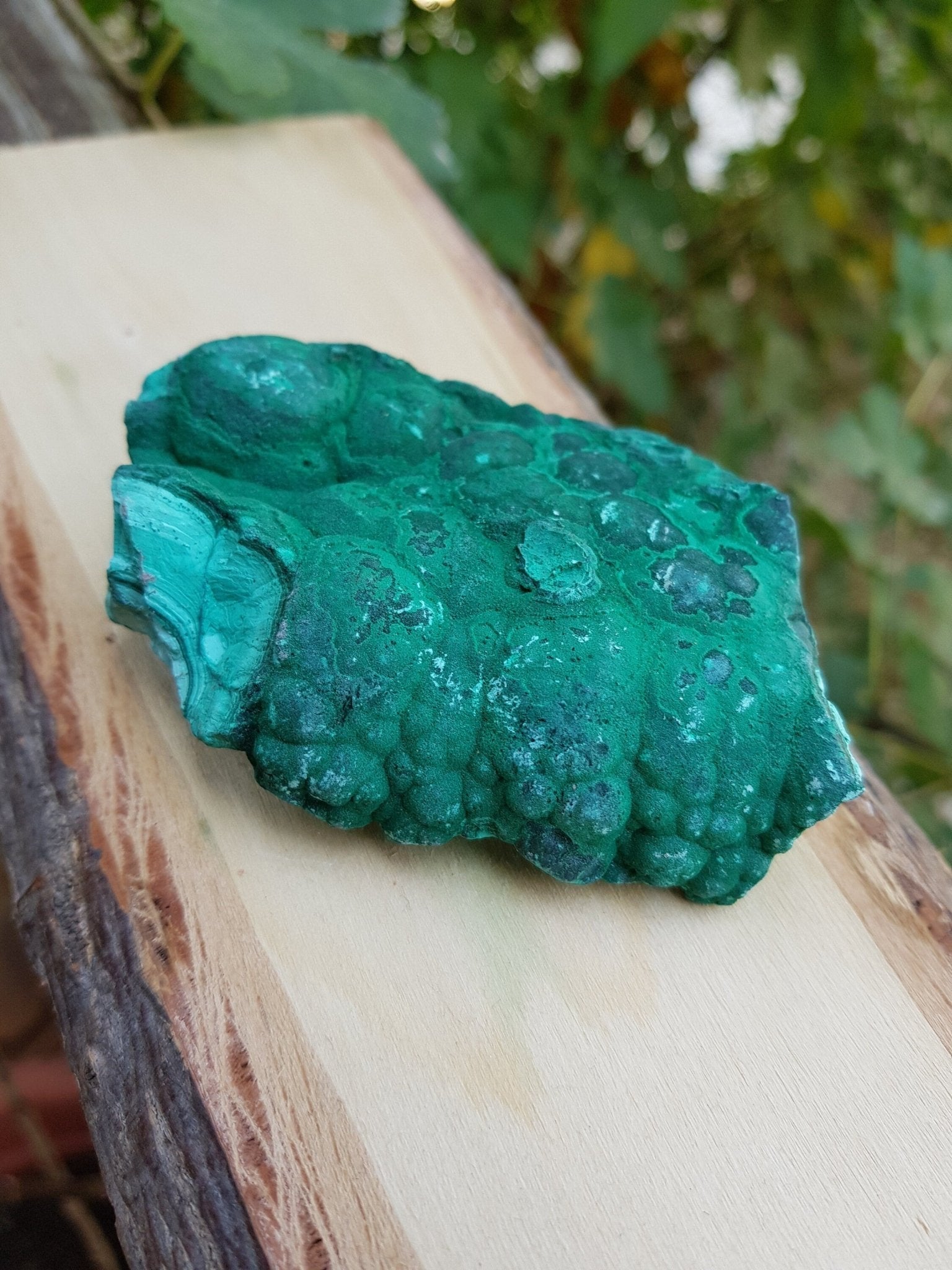 Botryoidal Malachite Specimen: 230g Raw Congo Mineral - LunarGem - 