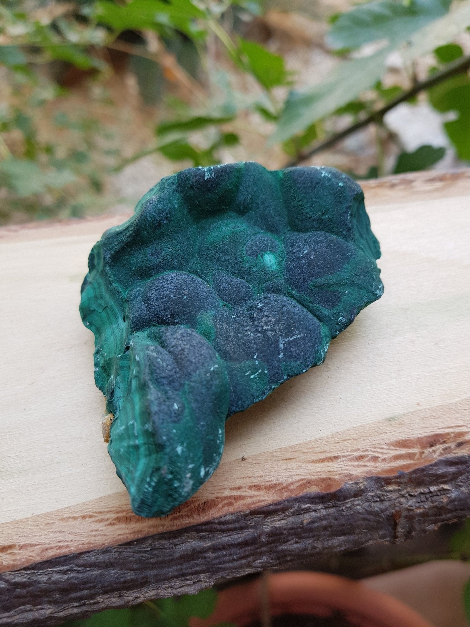 Botryoidal Malachite Specimen: Raw Congo Mineral, 186g - LunarGem - 