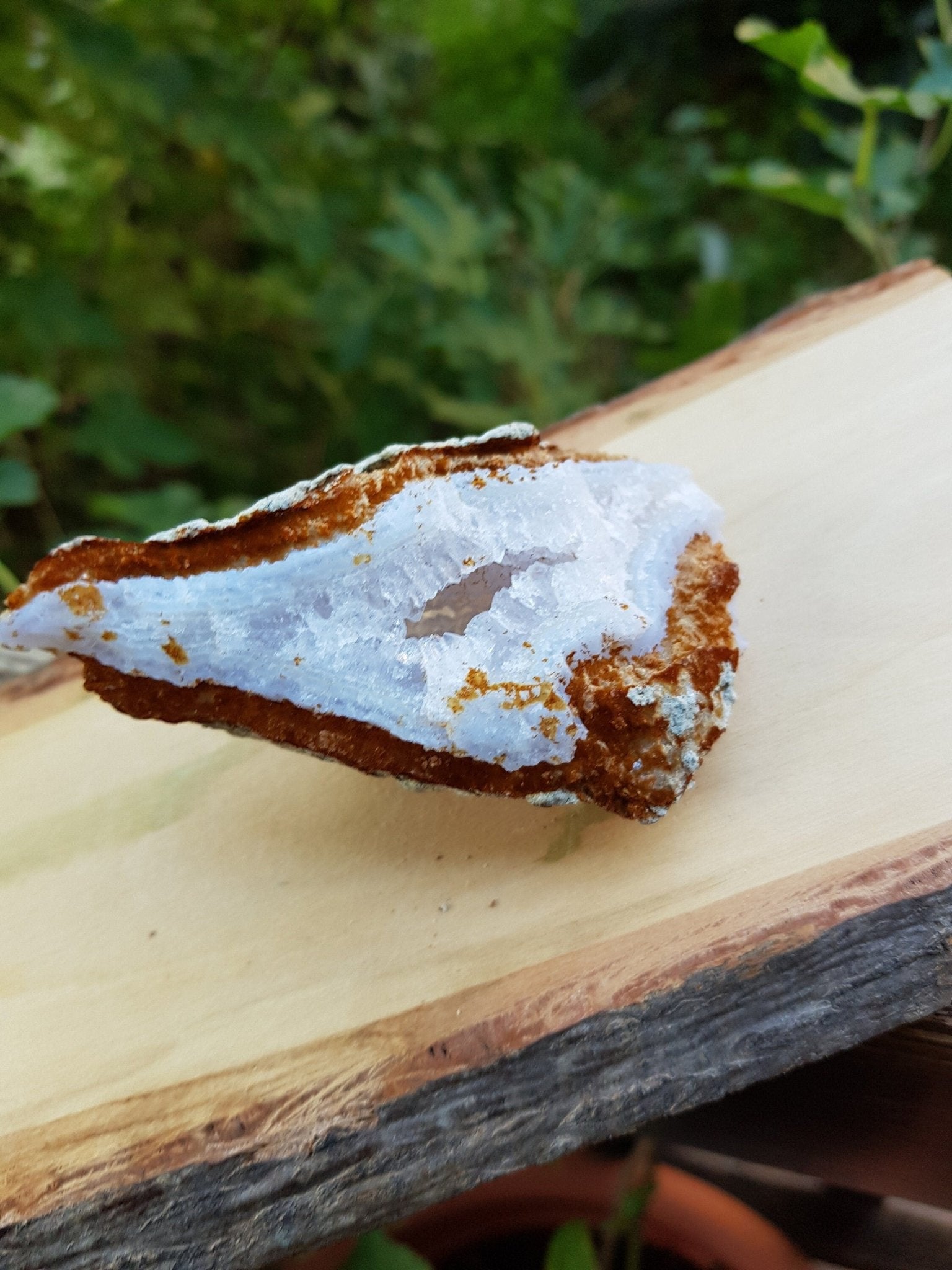 Druzy Blue Lace Agate Geode: Raw Crystal Cluster (135g) - LunarGem - 