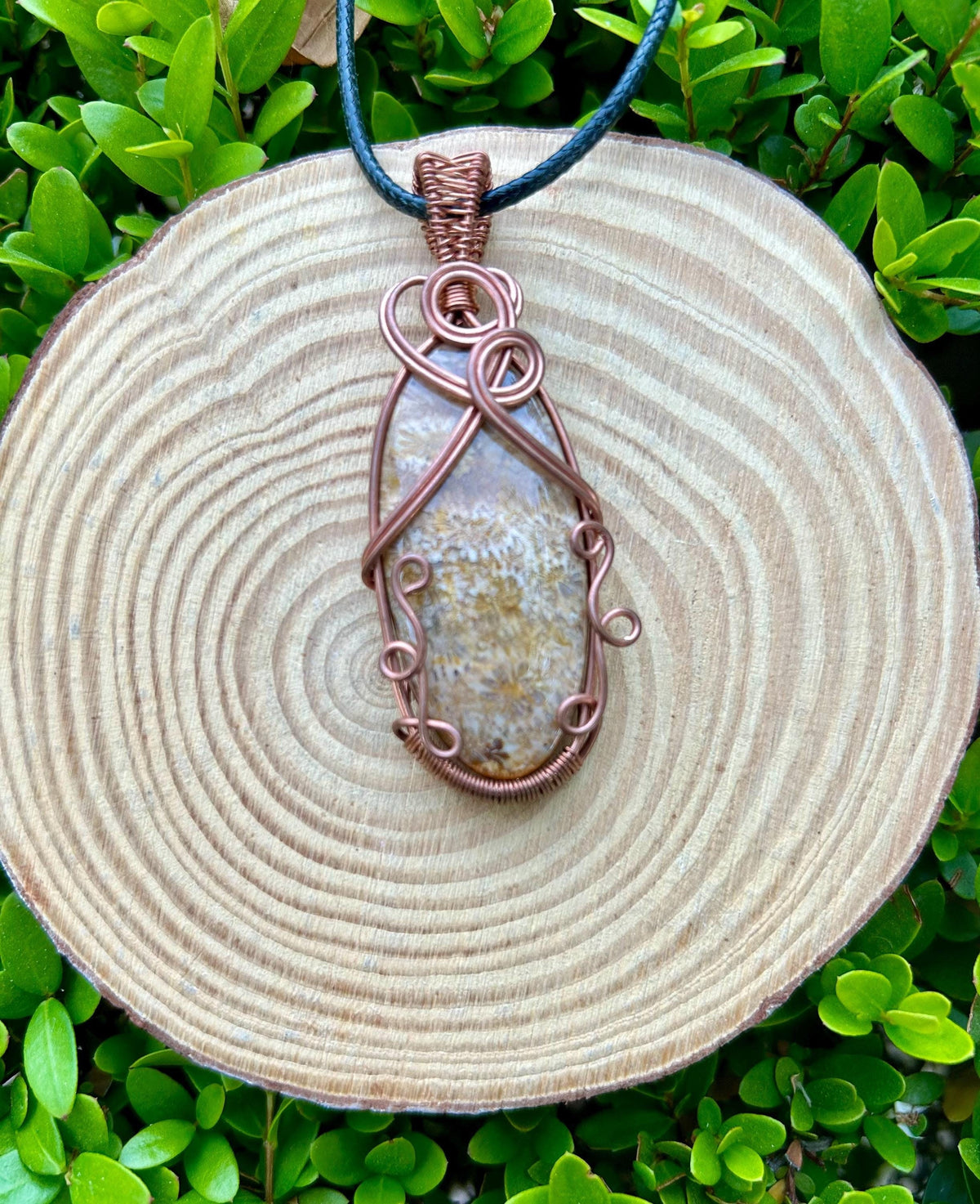 Coral Fossil Wire Wrapped Pendant In Copper