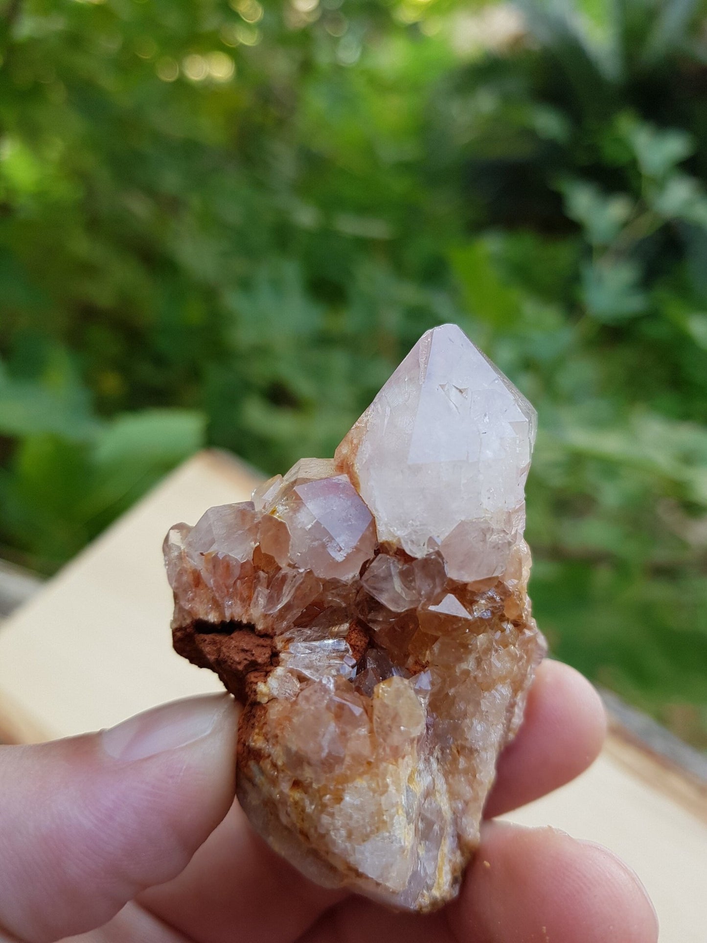 Lavender Amethyst Spirit Quartz Cluster: Cactus Quartz Crystals - LunarGem - 