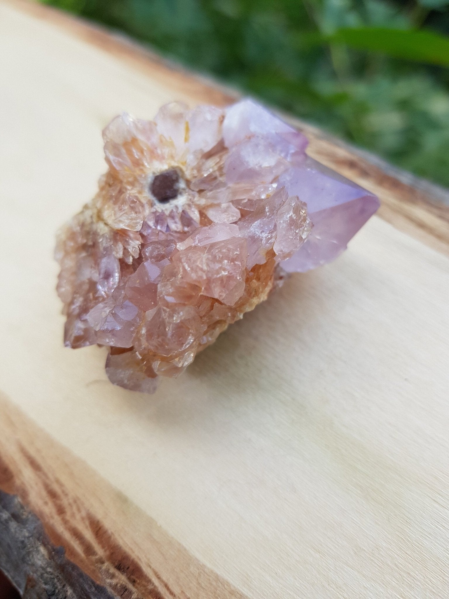 Lavender Amethyst Spirit Quartz Cluster: Cactus Quartz Crystals - LunarGem - 