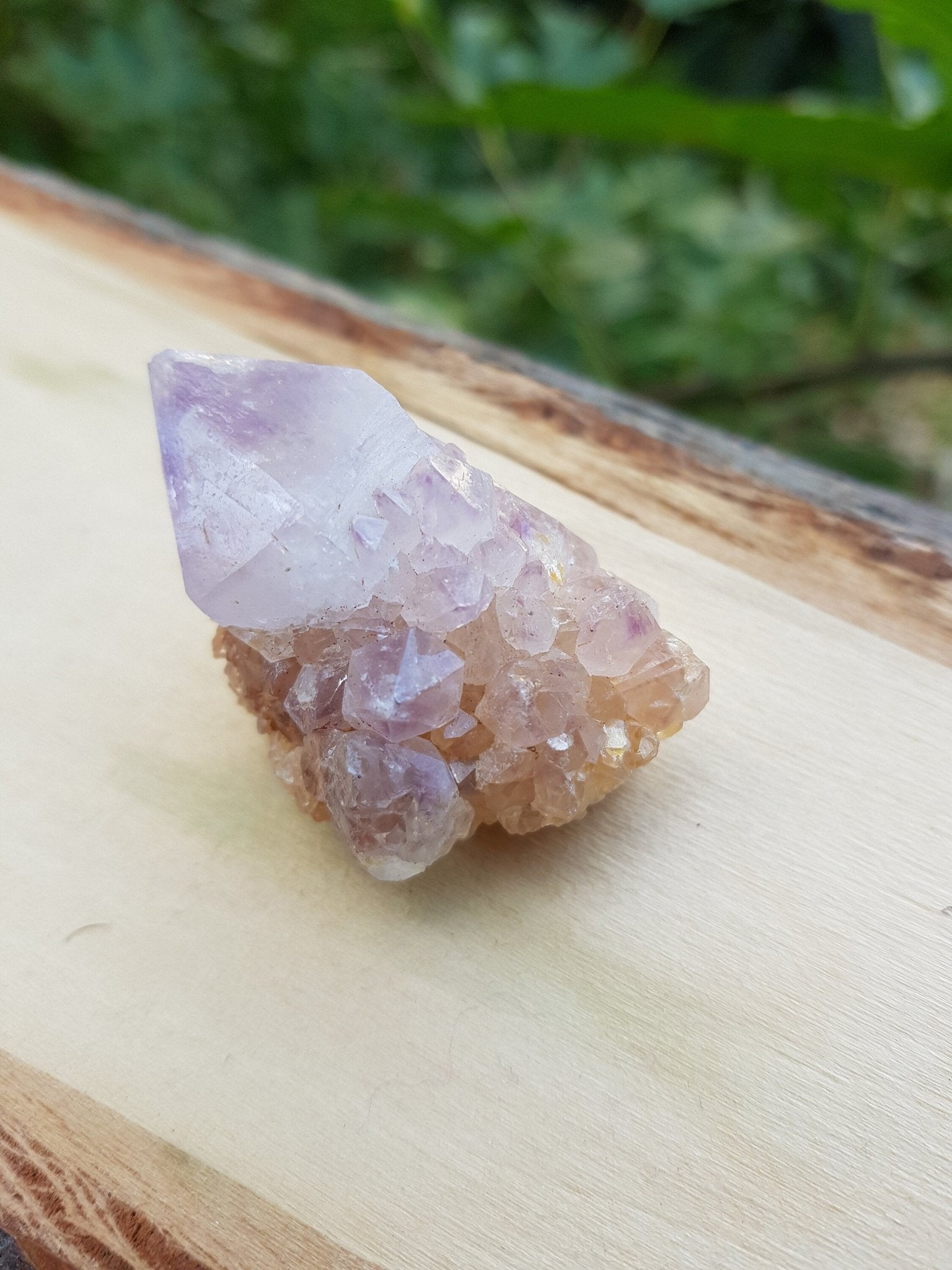 Lavender Amethyst Spirit Quartz Cluster: Ethically Sourced Cactus Quartz - LunarGem - 