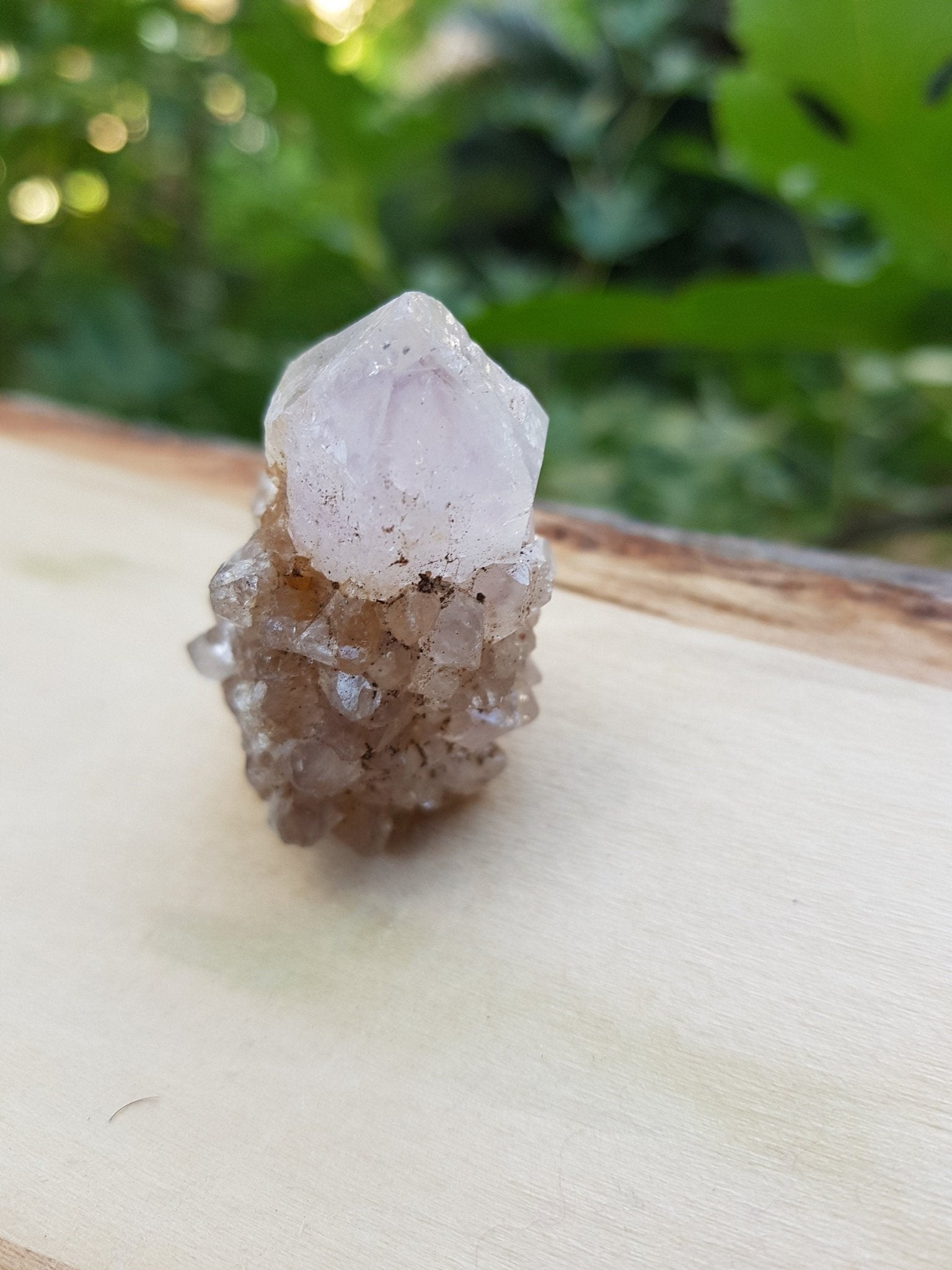 Lavender Amethyst Spirit Quartz Cluster: Ethically Sourced Cactus Quartz - LunarGem - 