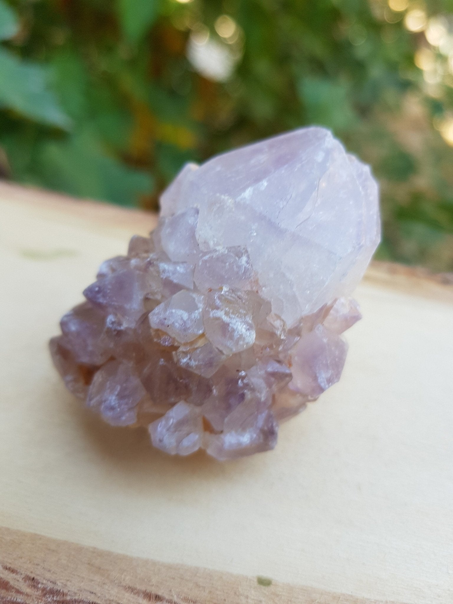 Lavender Amethyst Spirit Quartz Cluster: Natural Cactus Quartz - LunarGem - 