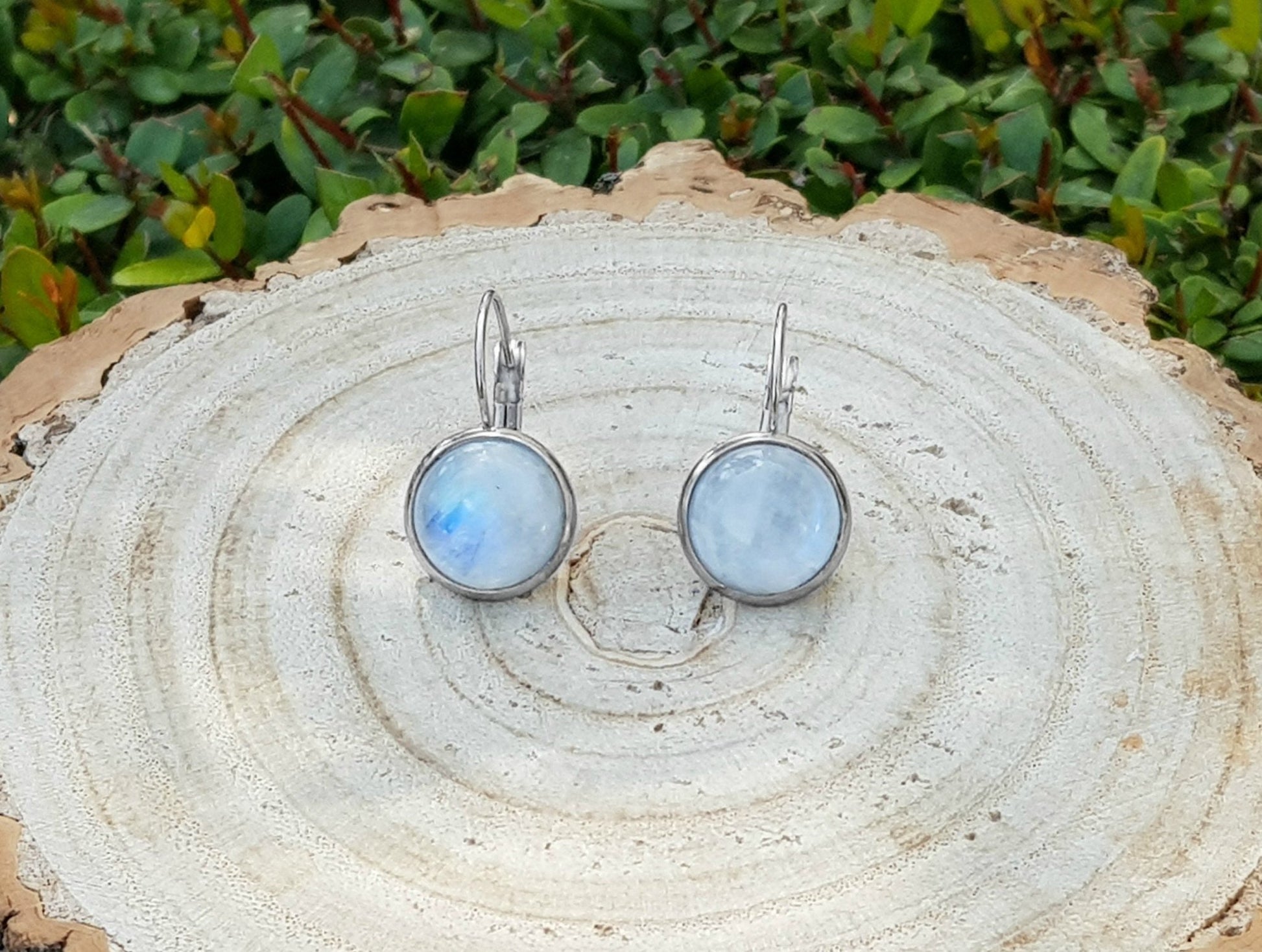 Rainbow Moonstone Dangle Earrings: Stainless Steel Leverback, June Birthstone - LunarGem - Earrings