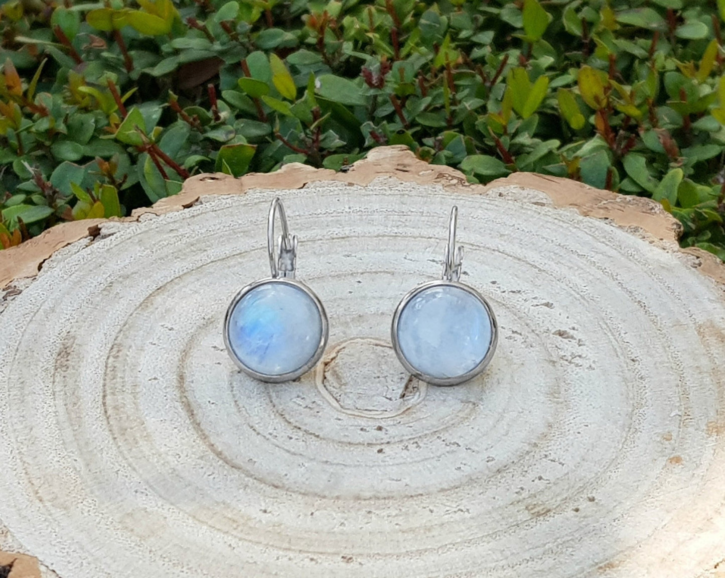 Rainbow Moonstone Dangle Earrings: Stainless Steel Leverback, June Birthstone - LunarGem - Earrings